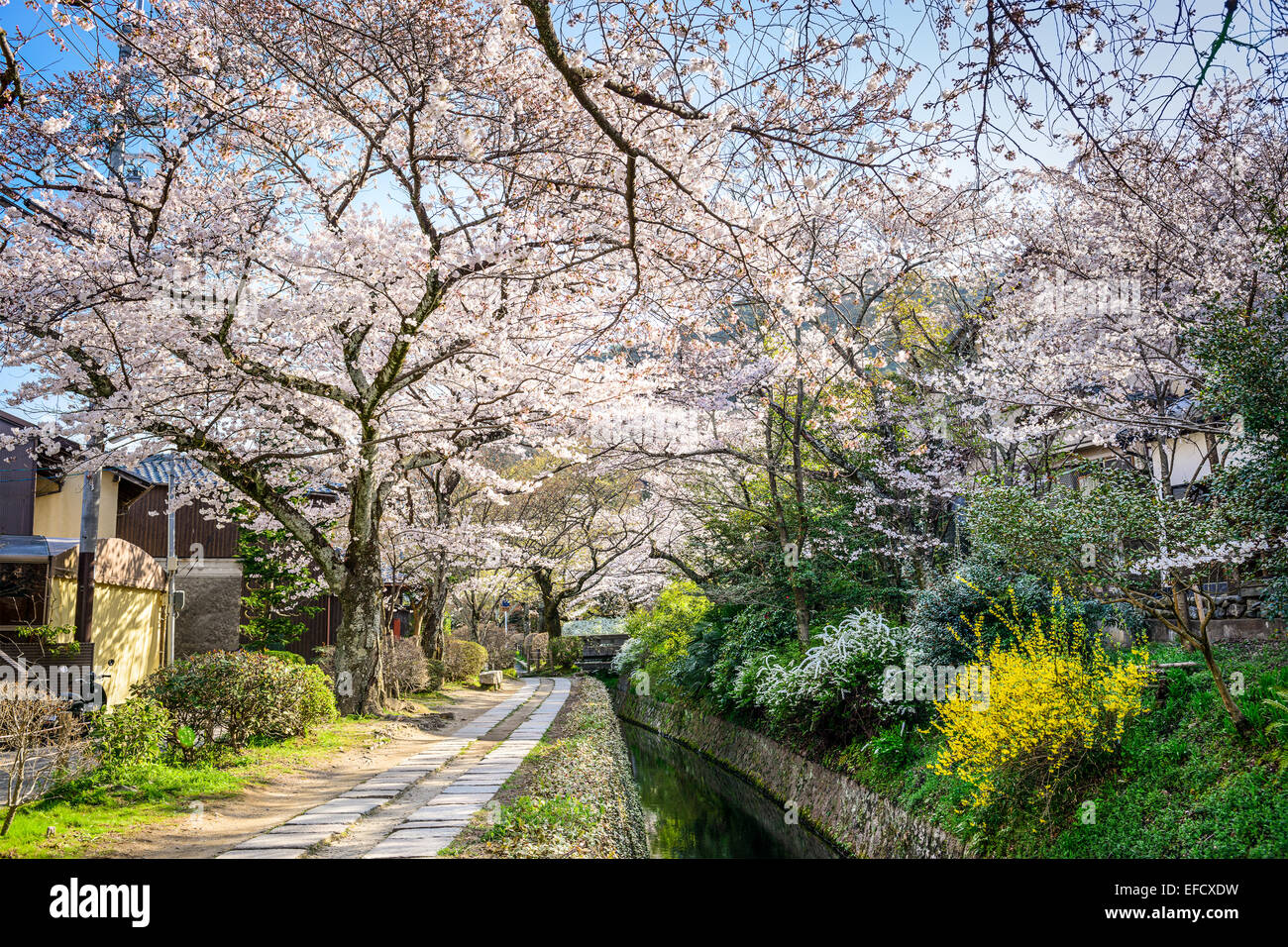 Kyoto, Japon à Promenade du Philosophe dans la saison du printemps. Banque D'Images