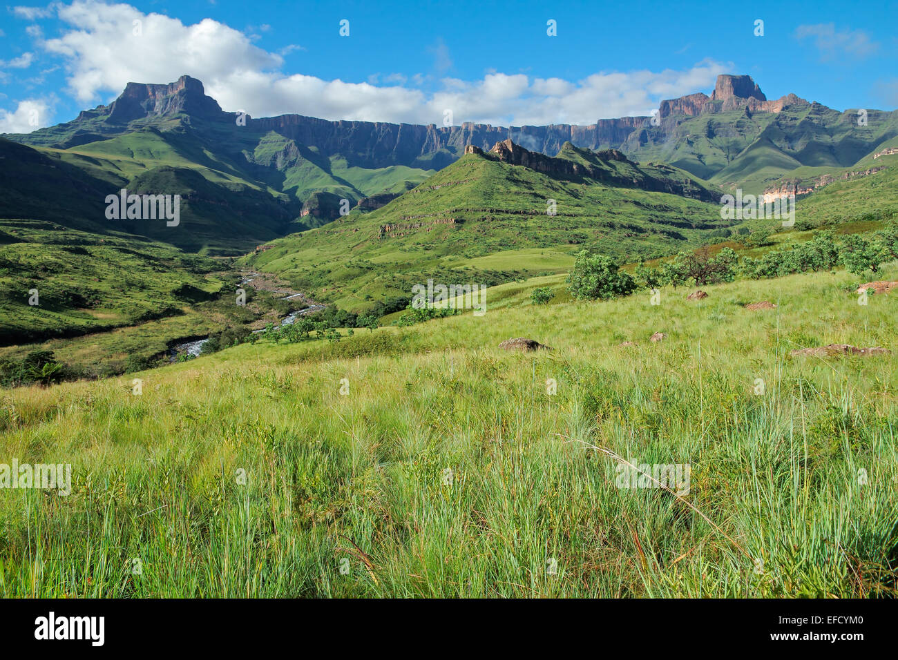 Amphithéâtre et la rivière Tugela, montagnes du Drakensberg, Parc national royal Natal, Afrique du Sud Banque D'Images