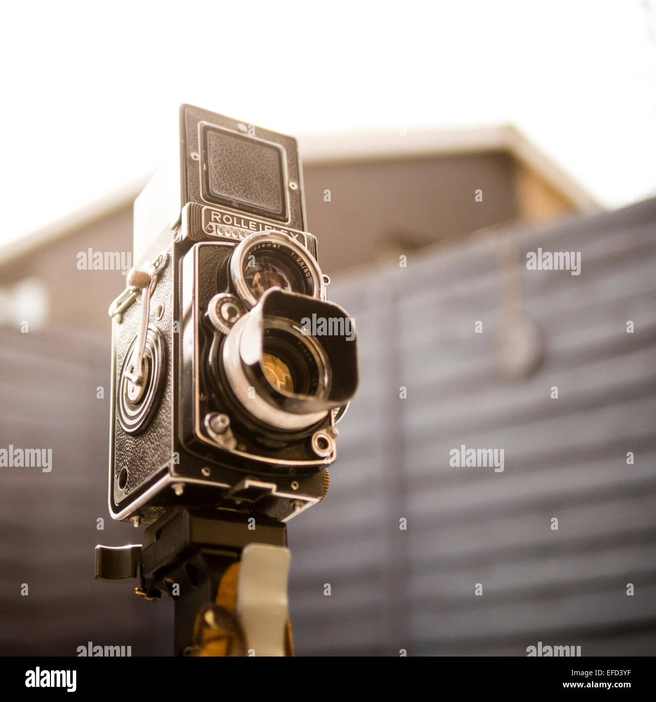 Objectif Rolleiflex Rollei rolleiflex camera film Banque de photographies et d’images à ...