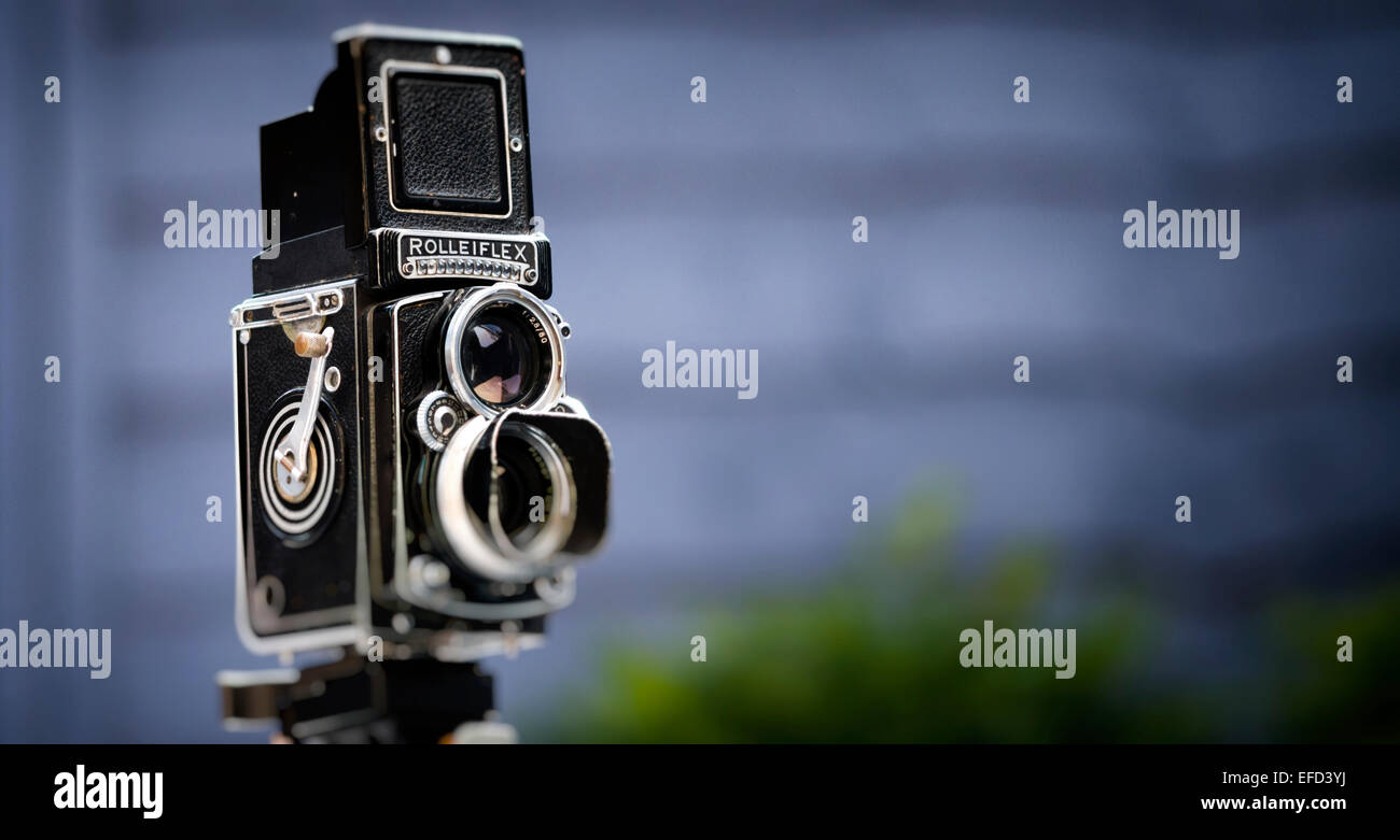 Twin Lens Reflex Rolleiflex Appareil-photo de film 120 Banque D'Images