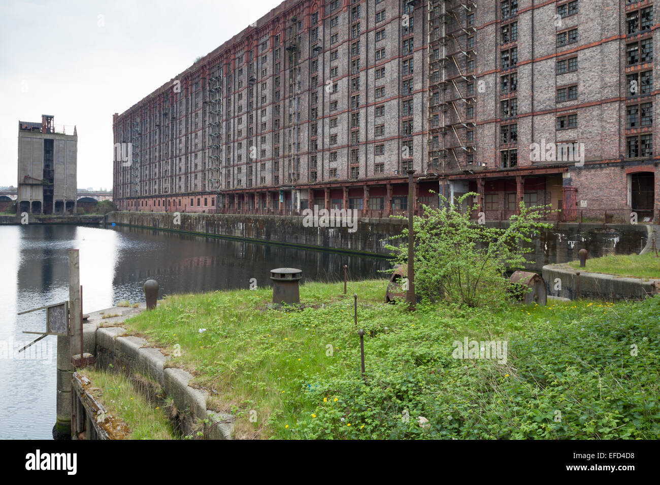 Le Stanley Dock Tobacco Warehouse, construit en 1901, est le plus grand entrepôt de brique et est classé (grade II). Banque D'Images