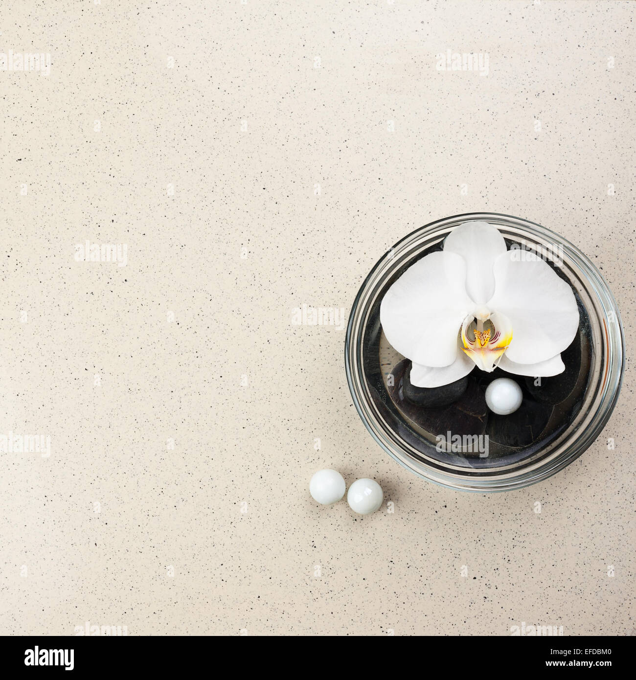 White Orchid flower vase en verre avec de l'eau et des pierres sur fond beige. Banque D'Images