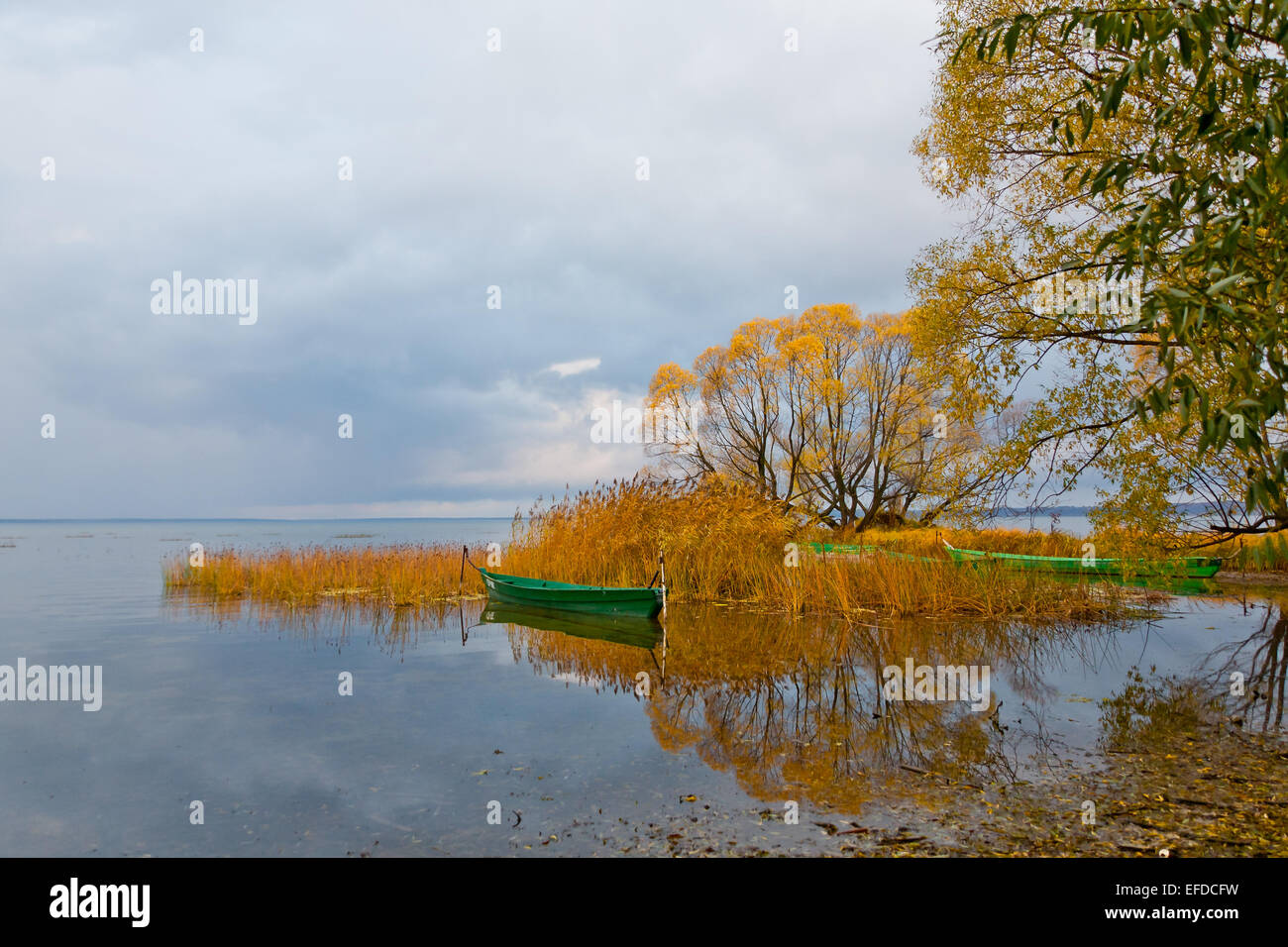 En attente de la pluie Banque D'Images