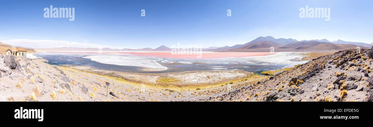 La Laguna Colorada, Uyuni, Bolivie Altiplano, désert, l'Amérique du Sud Banque D'Images