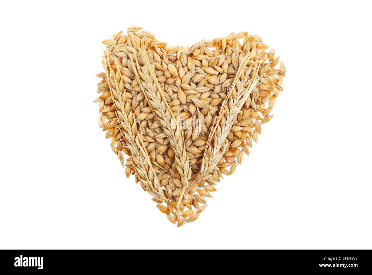 Grains d'orge avec oreilles de barleyi n forme de coeur isolés contre white Banque D'Images