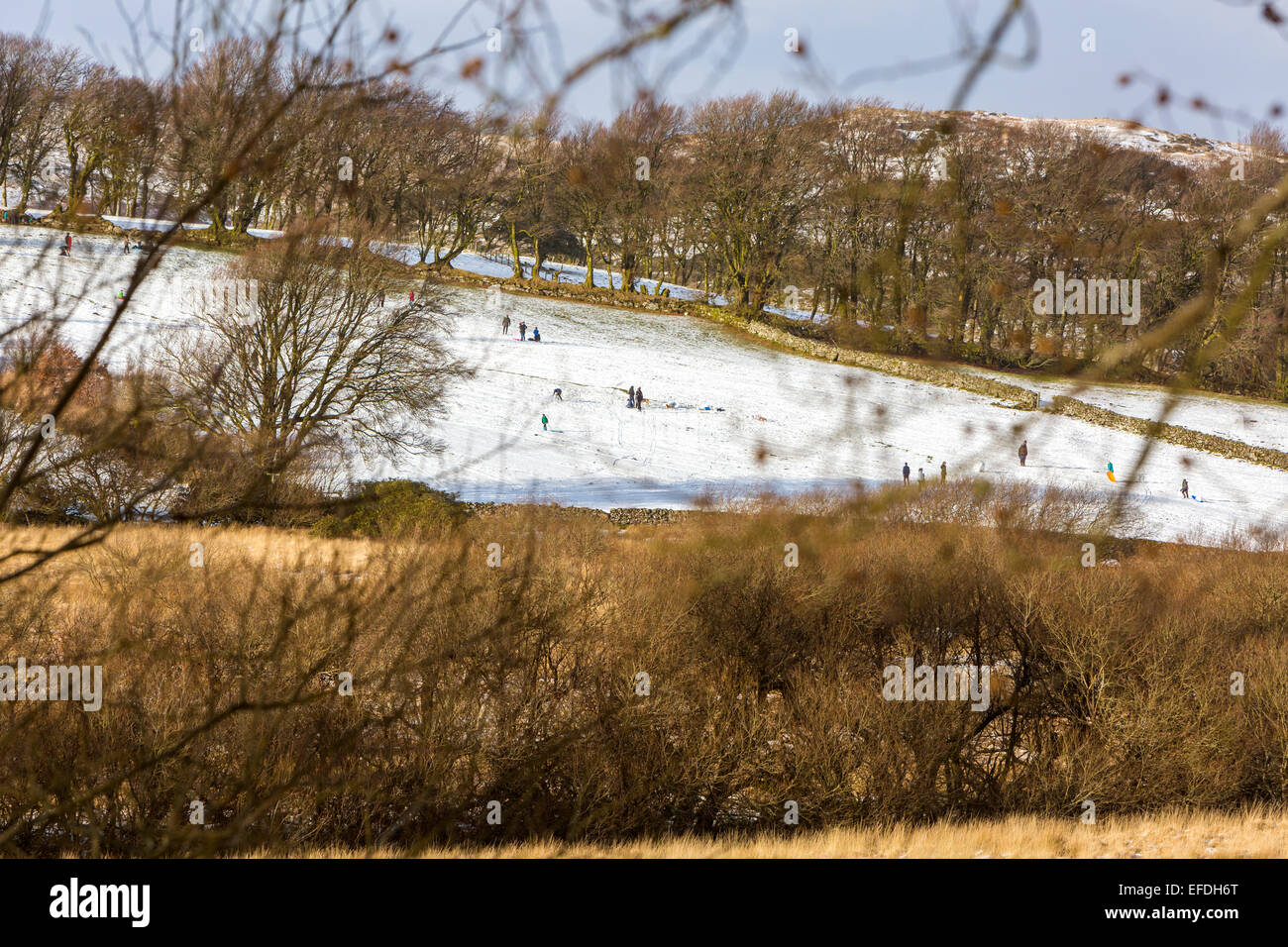 Dartmoor National Park, Devon, UK. 06Th Feb 2015. Météo France : le ski et la luge Les familles en bas de la colline après les chutes de neige rares dans la région de Dartmoor National Park près de Postbridge, Devon, Angleterre, Royaume-Uni, Europe. Crédit : Sébastien Wasek/Alamy Live News Banque D'Images