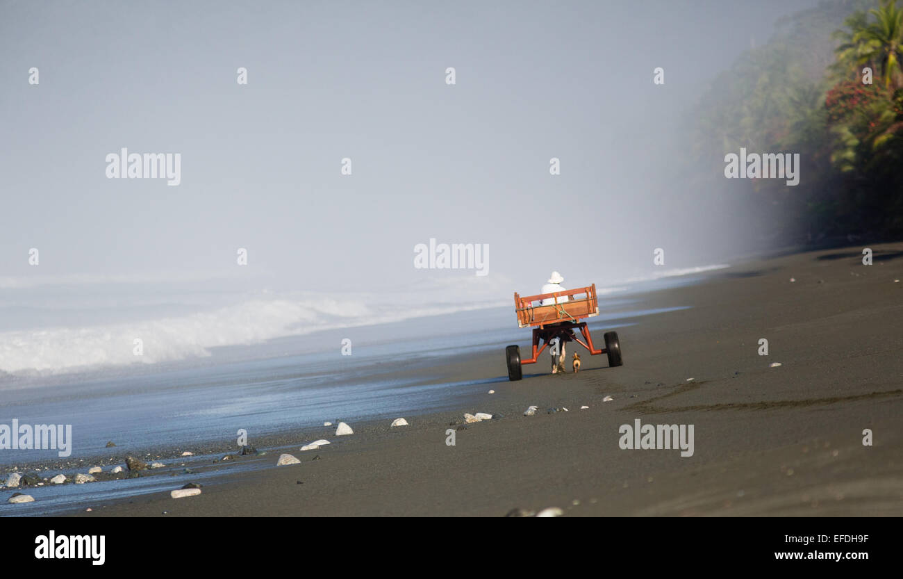 Homme conduisant un cheval dessiné beach panier avec petit chien le long de la côte près de Parc national de Corcovado au Costa Rica Banque D'Images