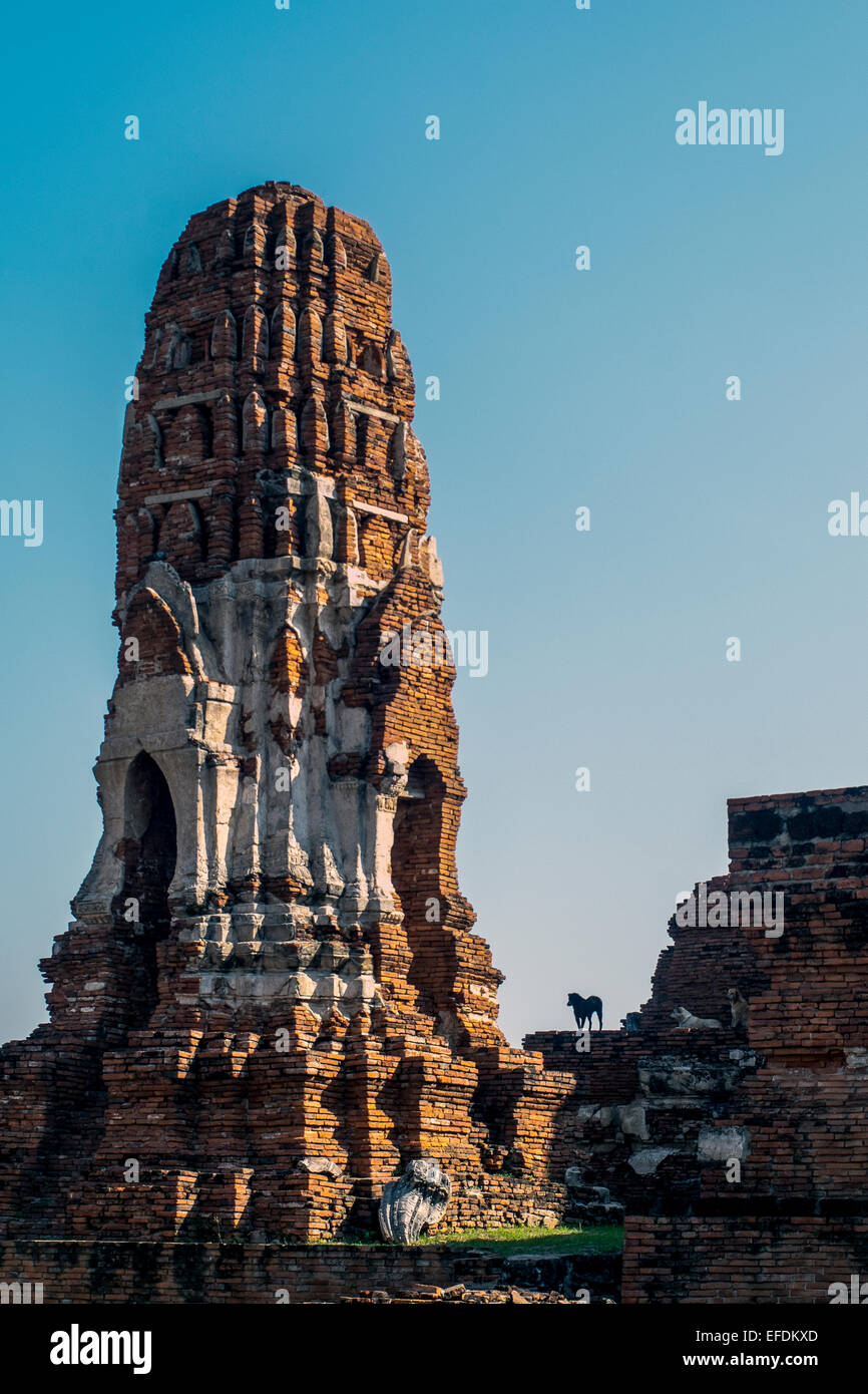 L'Asie. La Thaïlande, Phra Nakhon Si Ayutthaya parc archéologique, Wat Phra Mahathat Banque D'Images