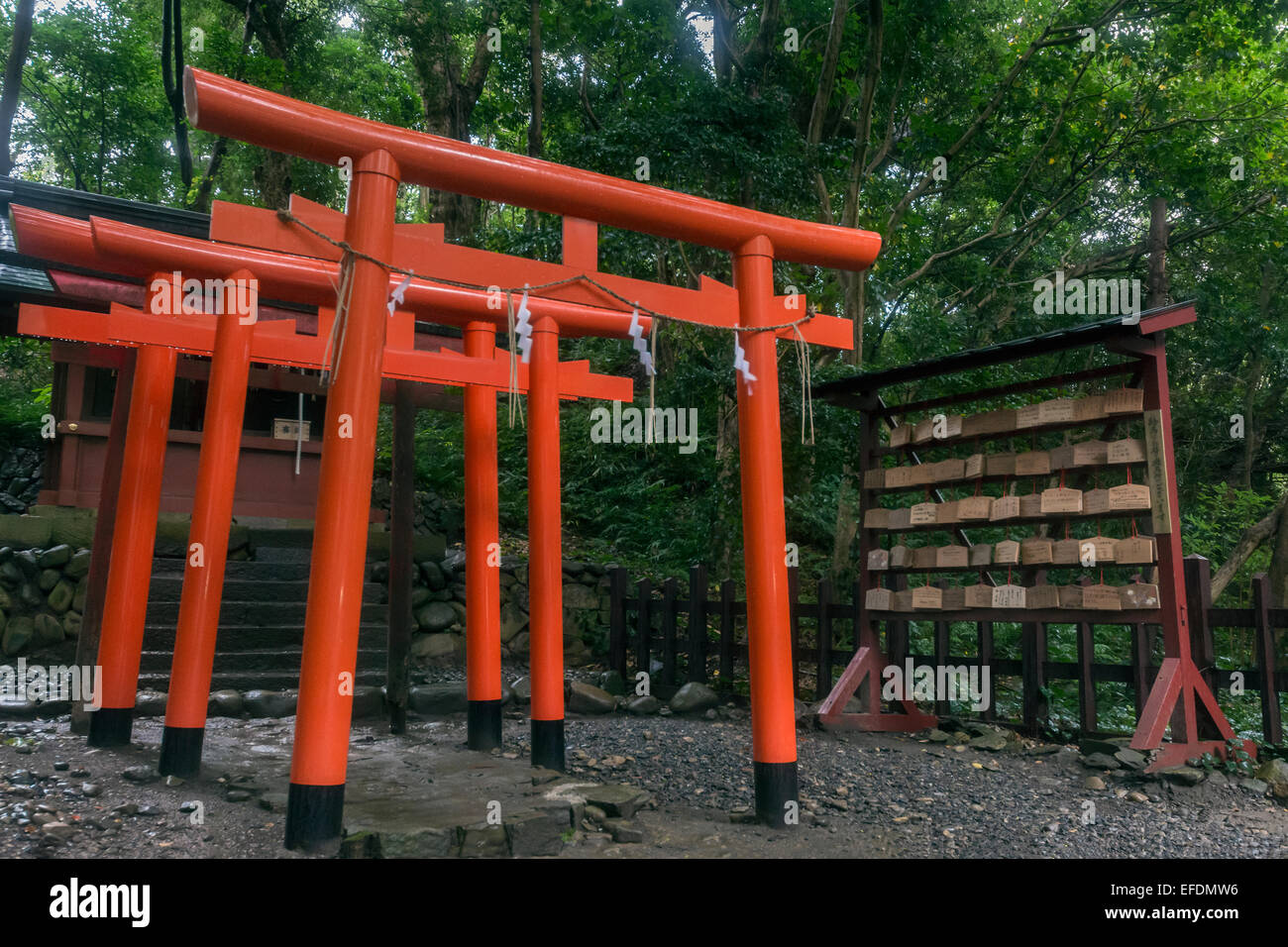 Portes Torii rouge vif et ema plaques, Kunozan Tosho-go-Sanctuaire Shinto Shizuoka, Japon Banque D'Images