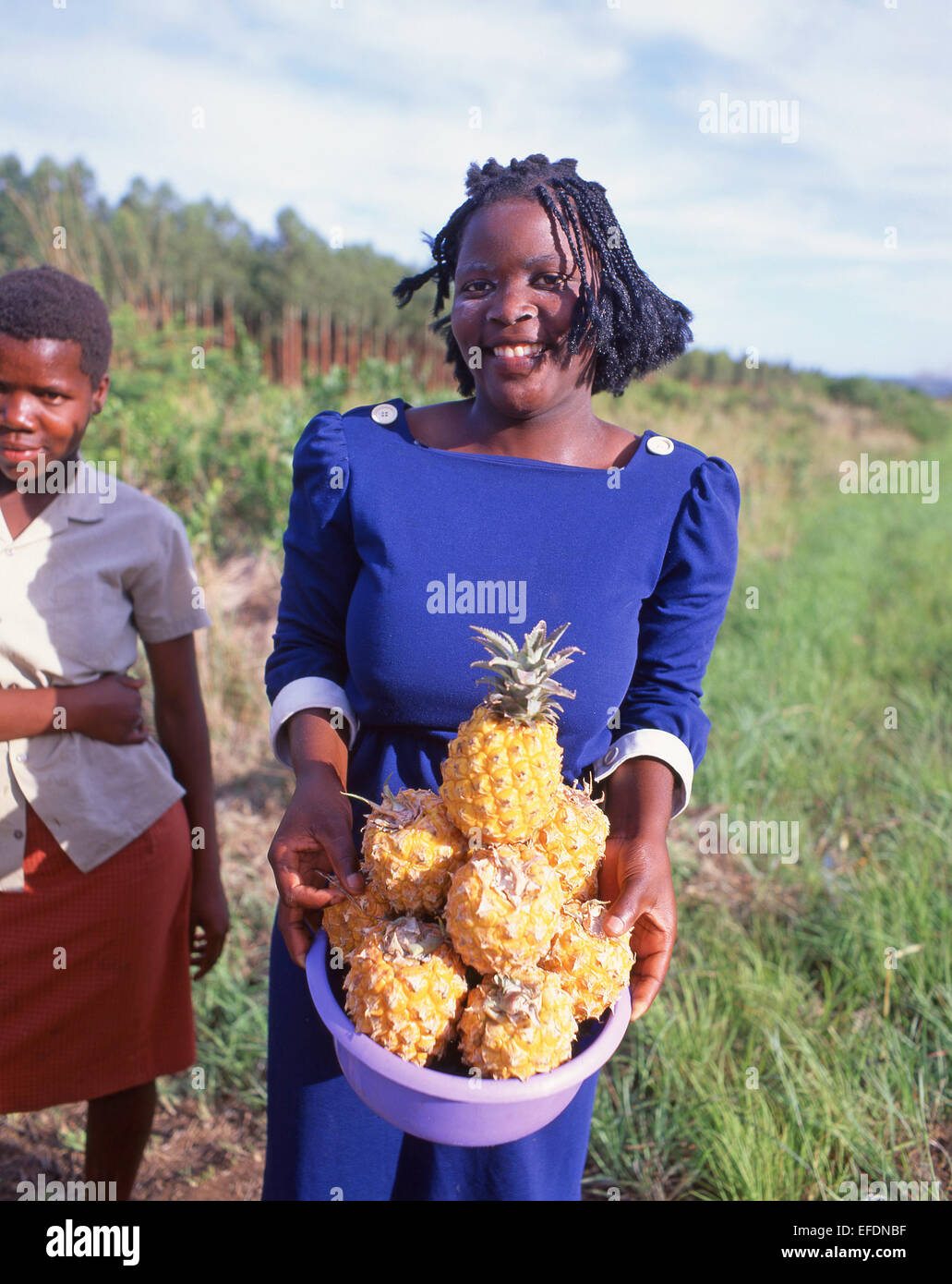 Femme vendant des ananas par route, la Province de Gauteng, Afrique du Sud Banque D'Images