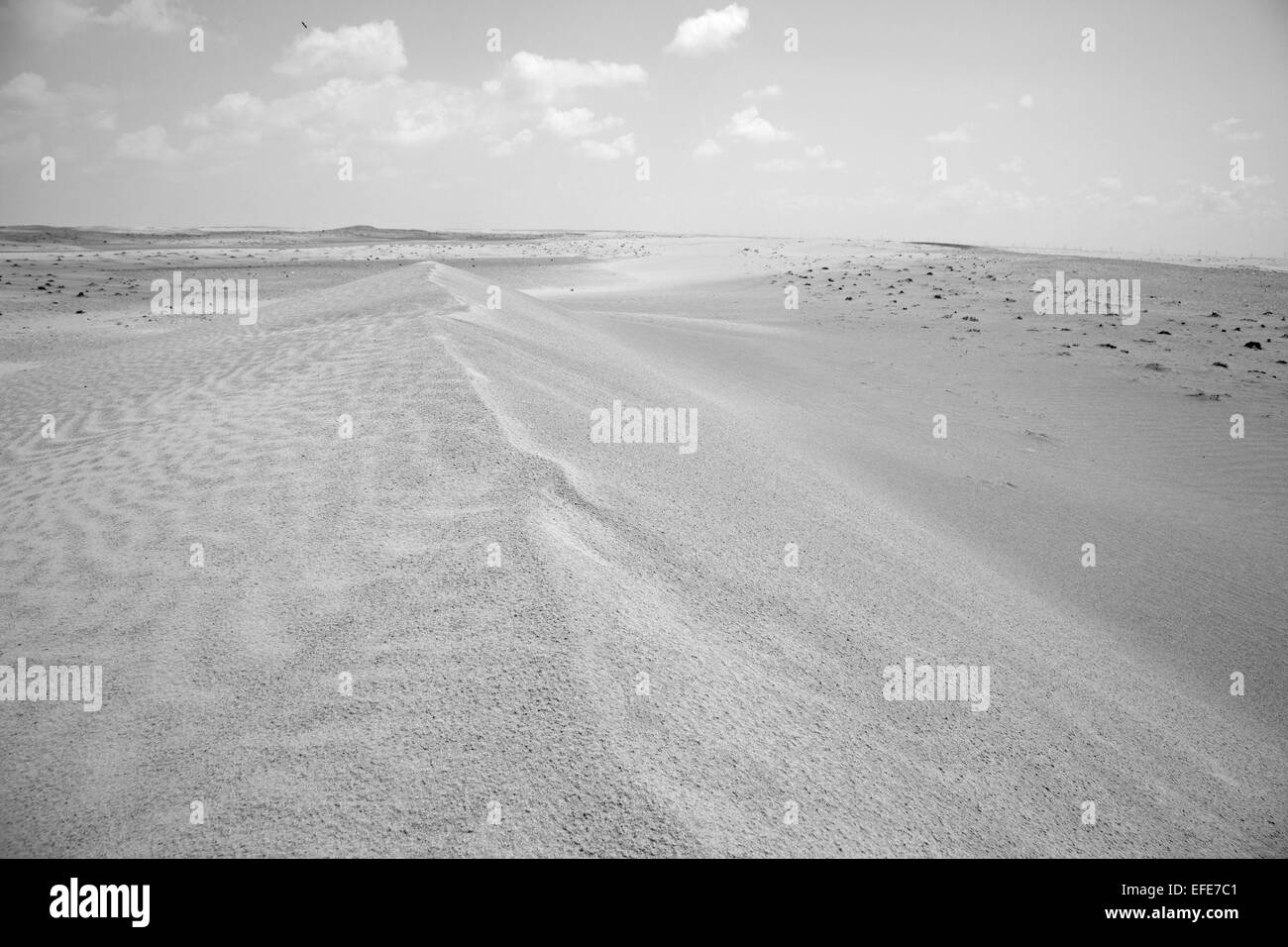 Dune de sable désert, Dubaï, Émirats Arabes Unis Banque D'Images