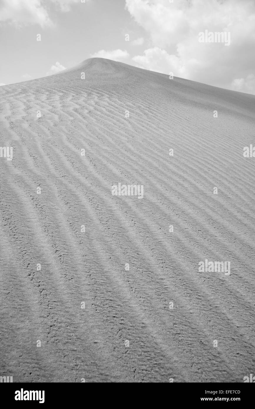 Dune de sable désert, Dubaï, Émirats Arabes Unis Banque D'Images