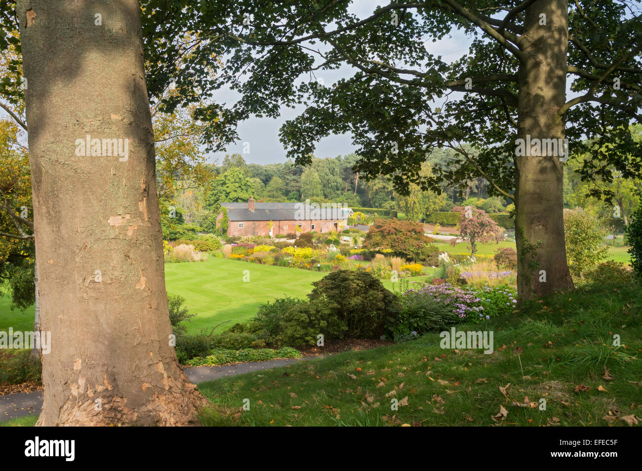 En automne, Ness ; Botanic Gardens ; ; ; ; Neston Wirral Cheshire ; Royaume-Uni ; Banque D'Images