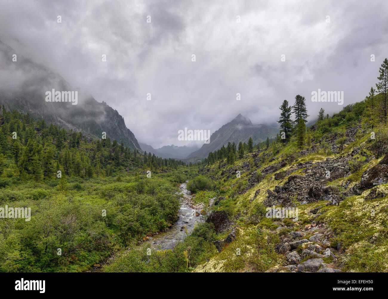 La vallée en forme de U. Sayan de l'Est. La République de Bouriatie Banque D'Images
