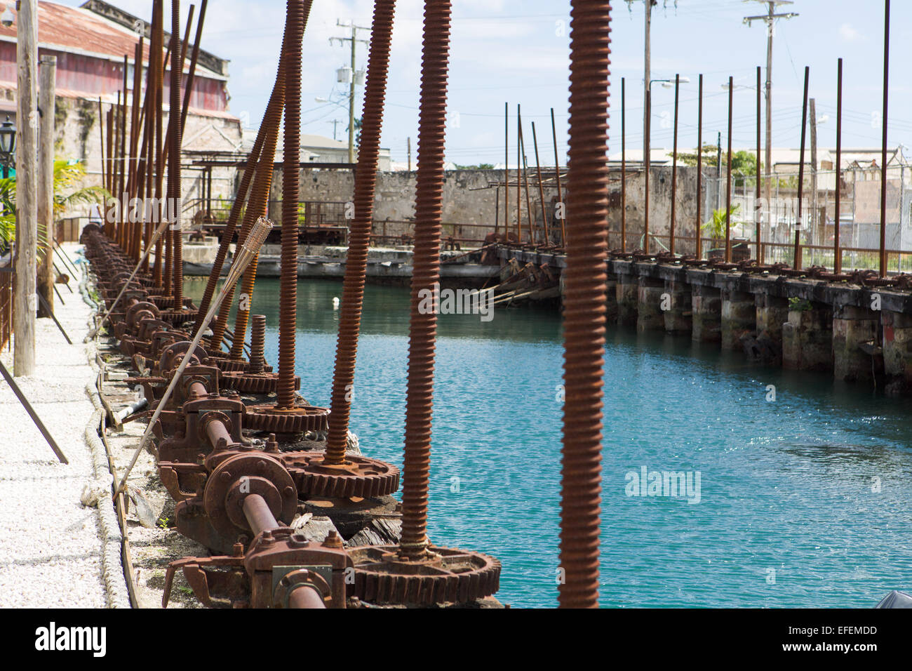 Dock vis, Bridgetown, Barbade Banque D'Images