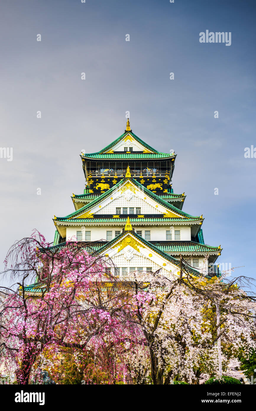 Osaka, Japon au château d'Osaka au printemps. Banque D'Images