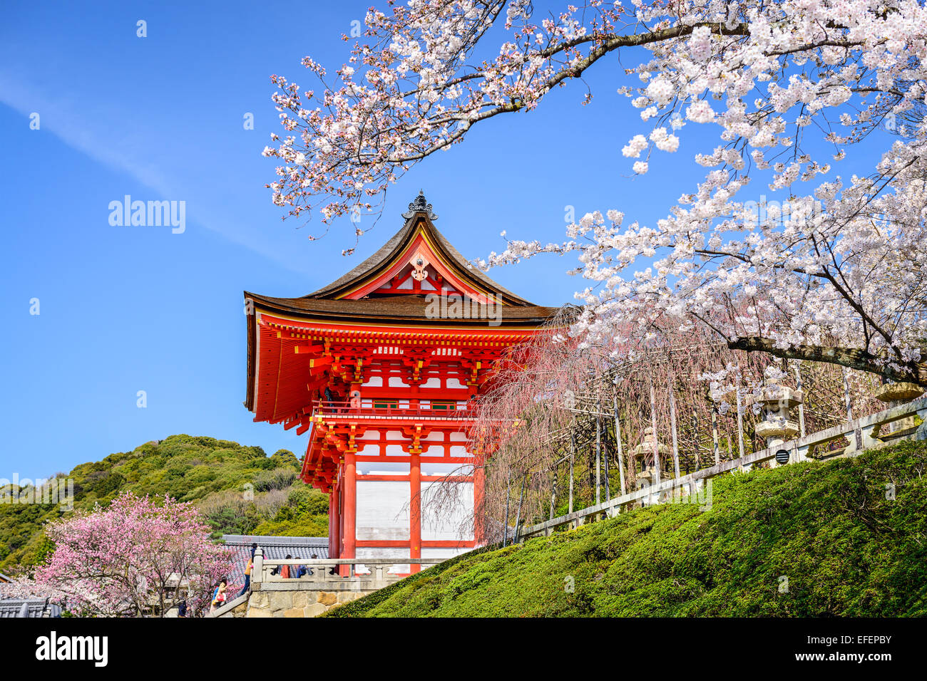 Kyoto, Japon, le Temple Kiyomizu-dera au printemps. Banque D'Images