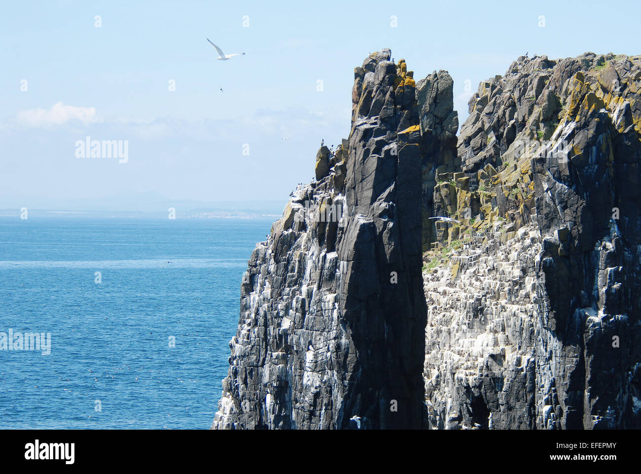 Plateau Rock, à l'île de mai Banque D'Images