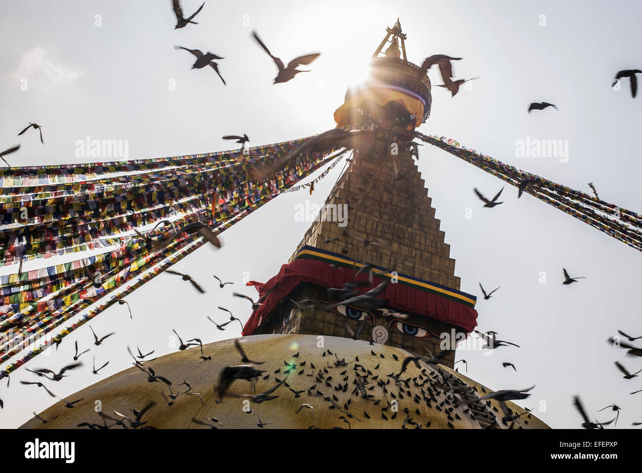 Boudhanath à Katmandou Banque D'Images Boudhanath à Katmandou Banque D'Images