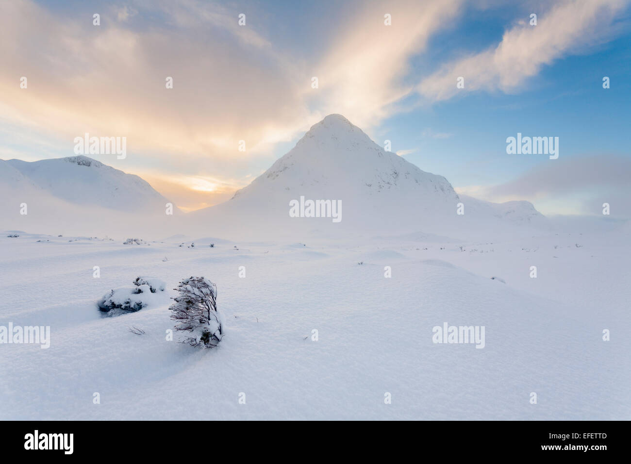 Genou à hauteur de la poitrine la neige couvrant les tourbières à l'avant du Buachaille Etive Beag au coucher du soleil. Banque D'Images