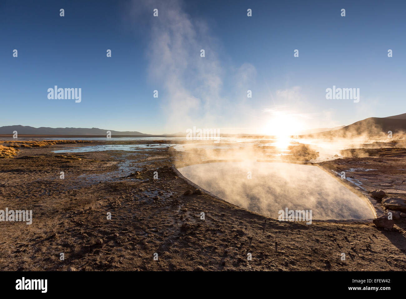 Hot Spring à Laguna Salada, Uyuni, désert de l'Altiplano, Bolivie, Amérique du Sud Banque D'Images