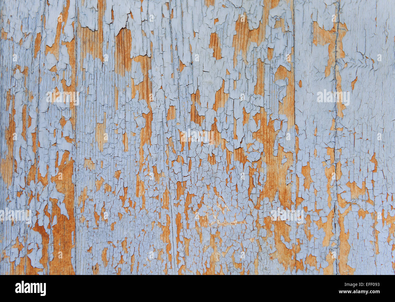 Color-Peel texture bois Banque D'Images