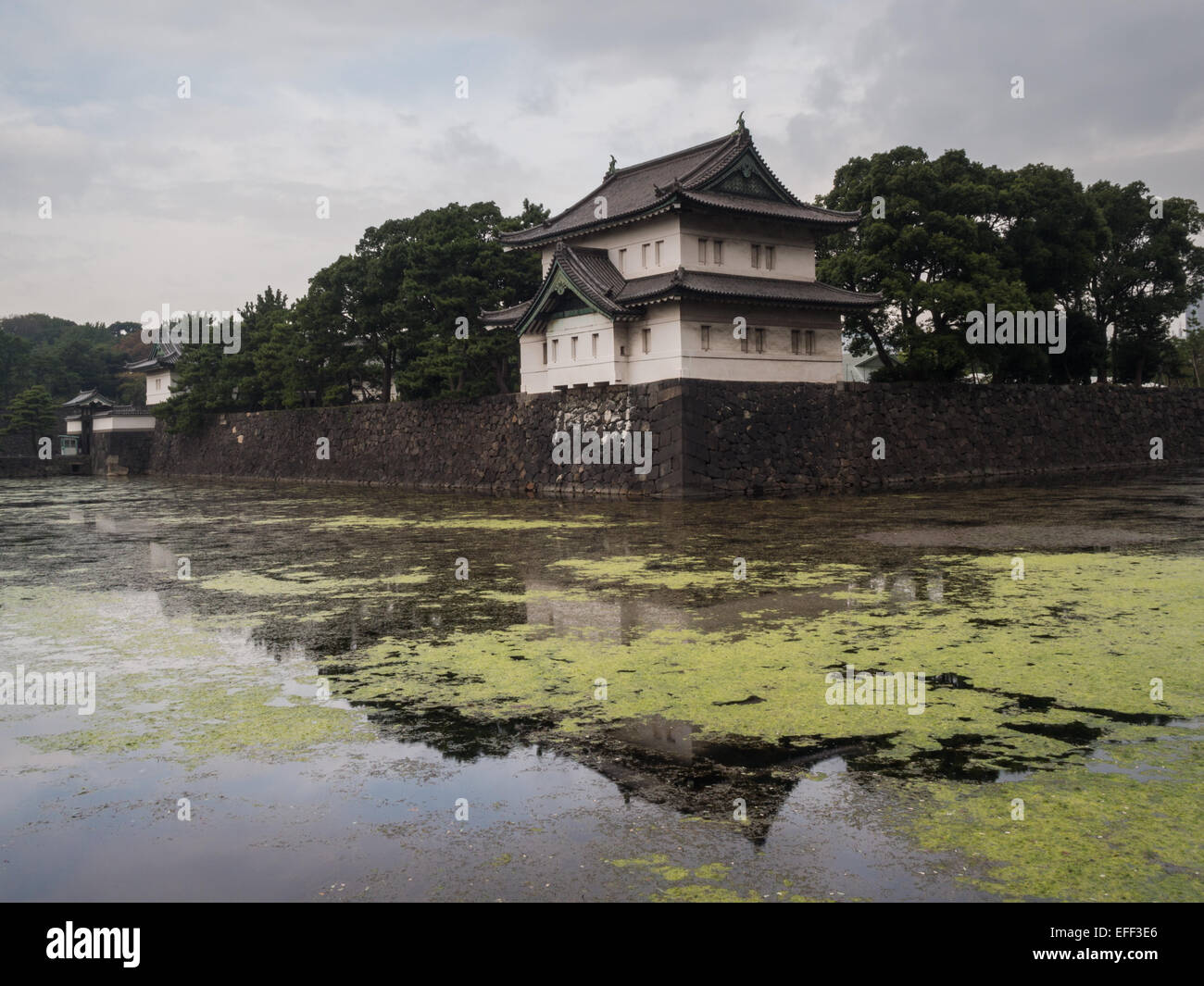Palais Impérial de Tokyo reflète dans l'eau des douves Banque D'Images