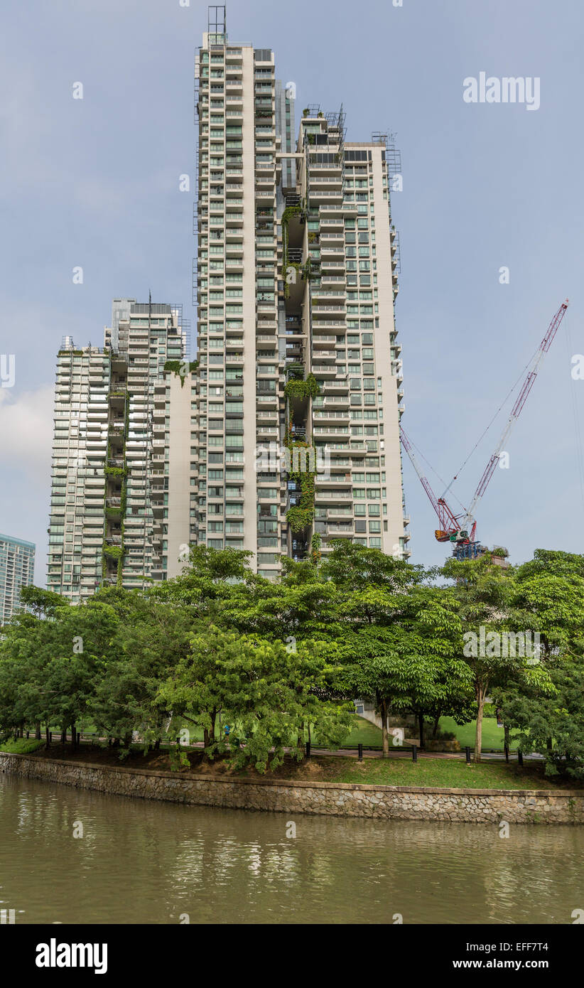 Les immeubles à appartements avec jardins verticaux en face de la rivière Singapour Banque D'Images