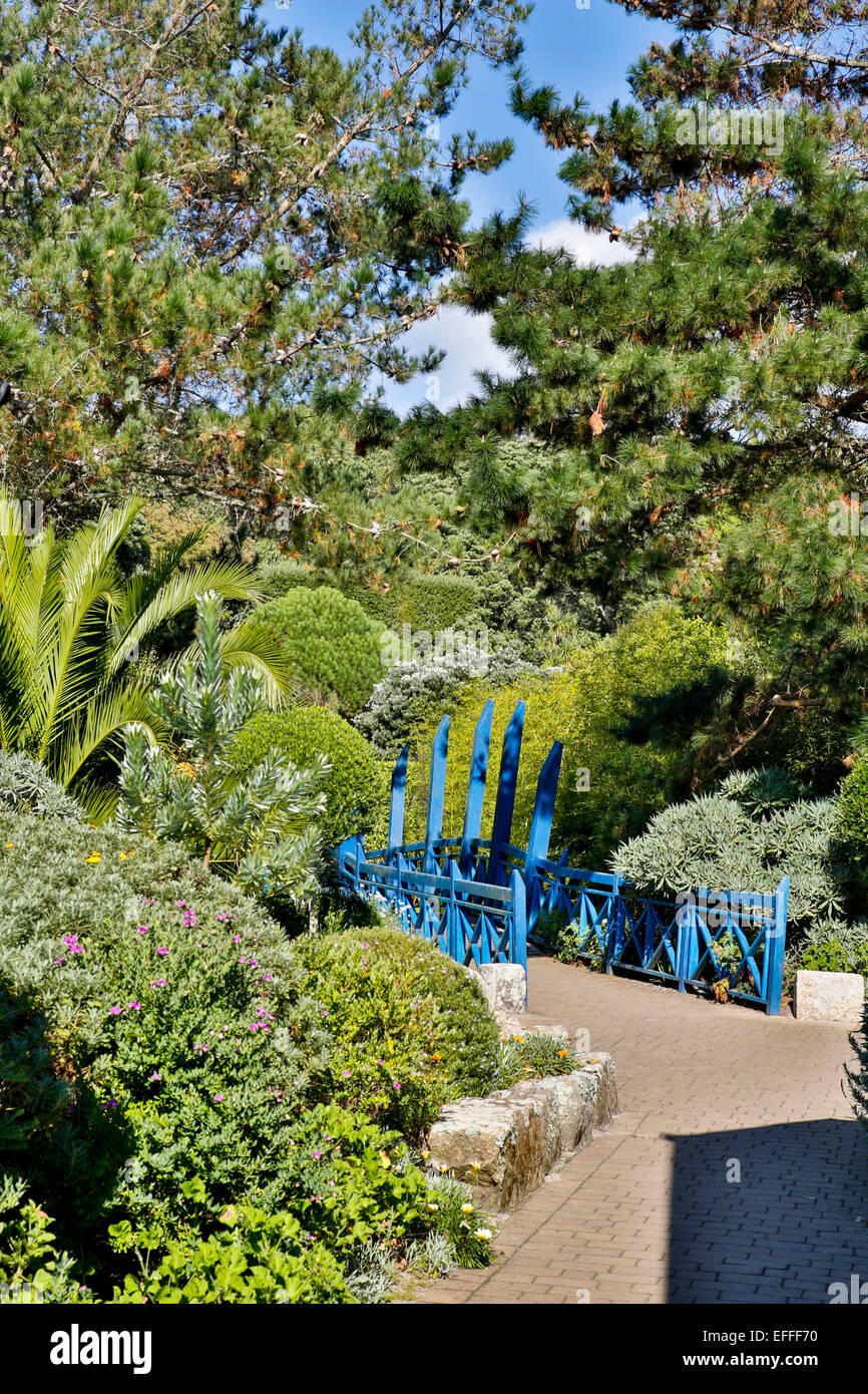 Jardins de l'abbaye de Tresco Îles Scilly ; UK Banque D'Images