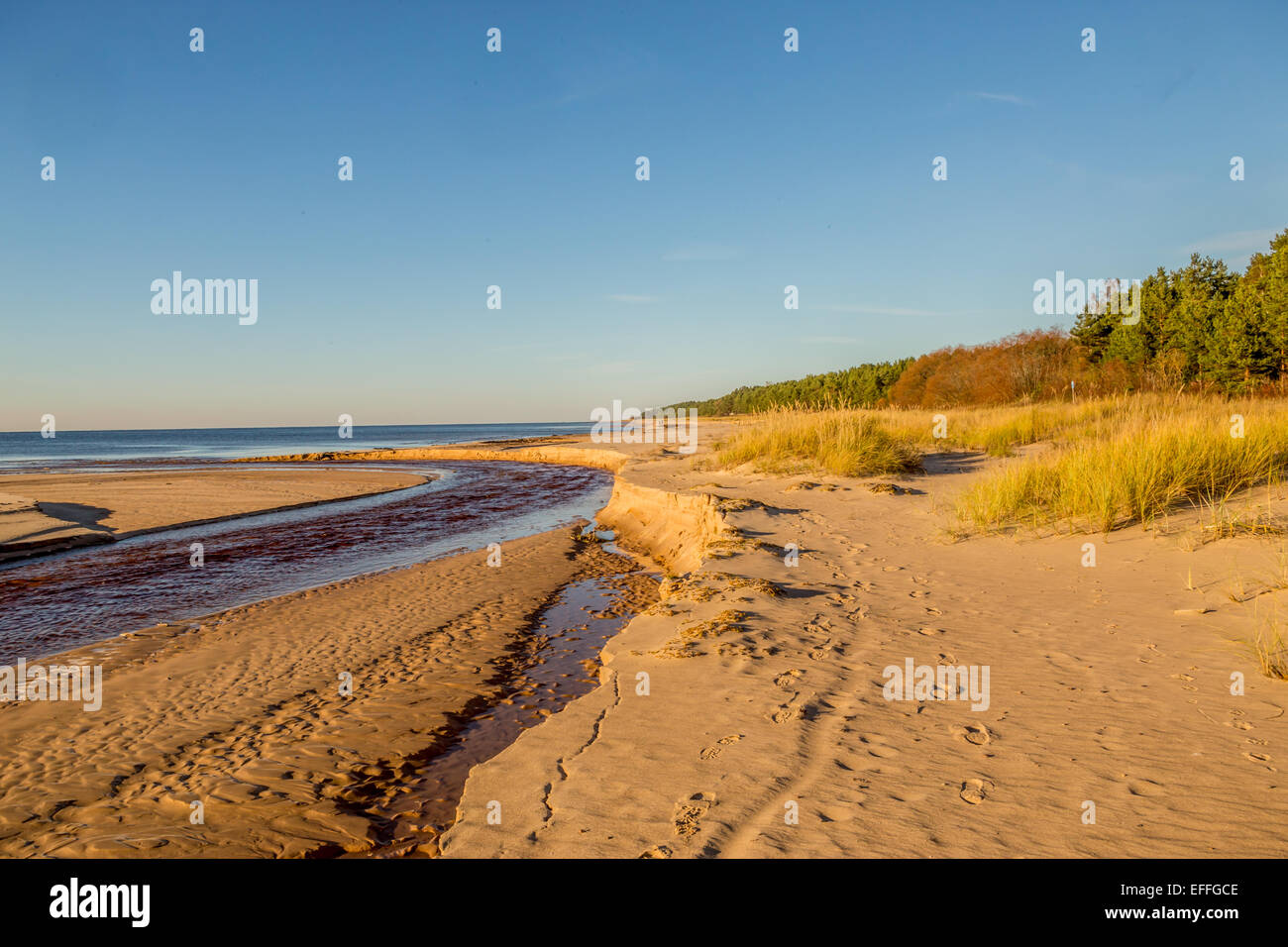 Côte de la mer Baltique, l'Estonie Banque D'Images