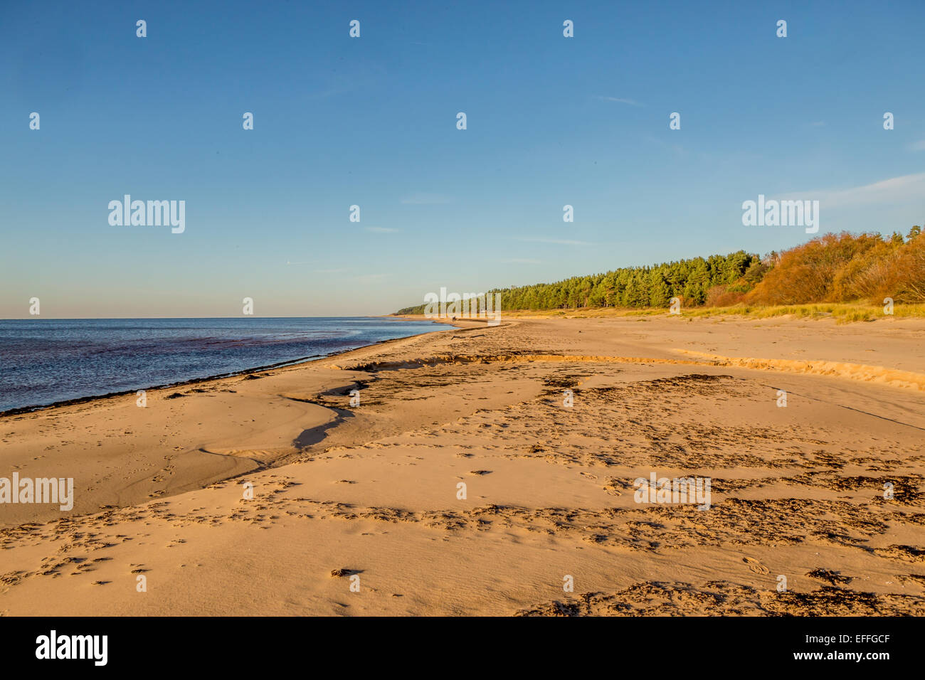 Côte de la mer Baltique, l'Estonie Banque D'Images