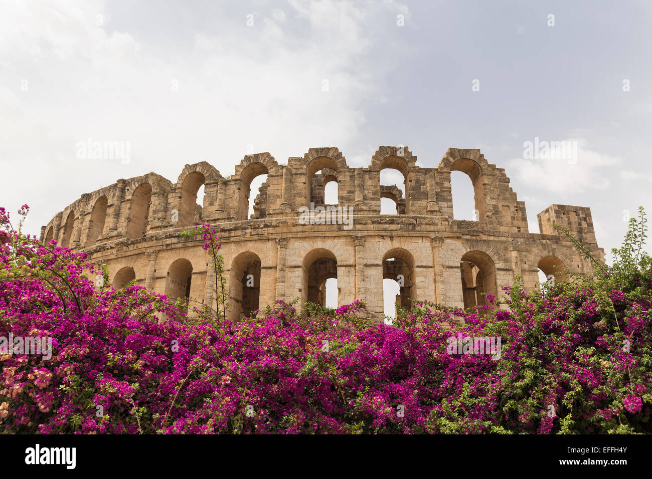 l-afrique-la-tunisie-l-amphith-tre-d-el-jem-photo-stock-alamy