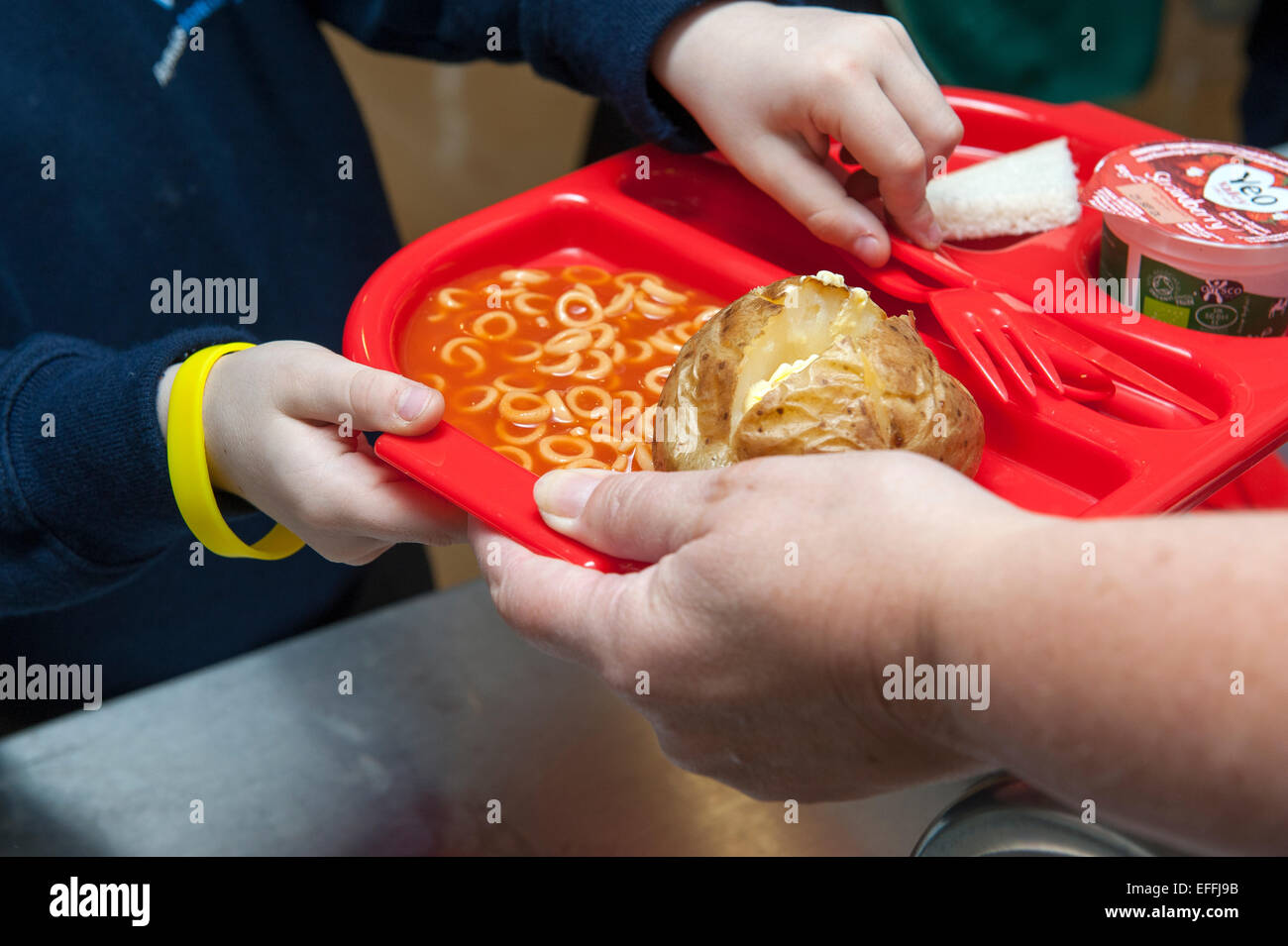 Un jeune enfant à une école primaire au Royaume-Uni est remis un déjeuner scolaire y compris une veste et de pommes de terre sur un spaghetti hoops en plastique rouge tr Banque D'Images