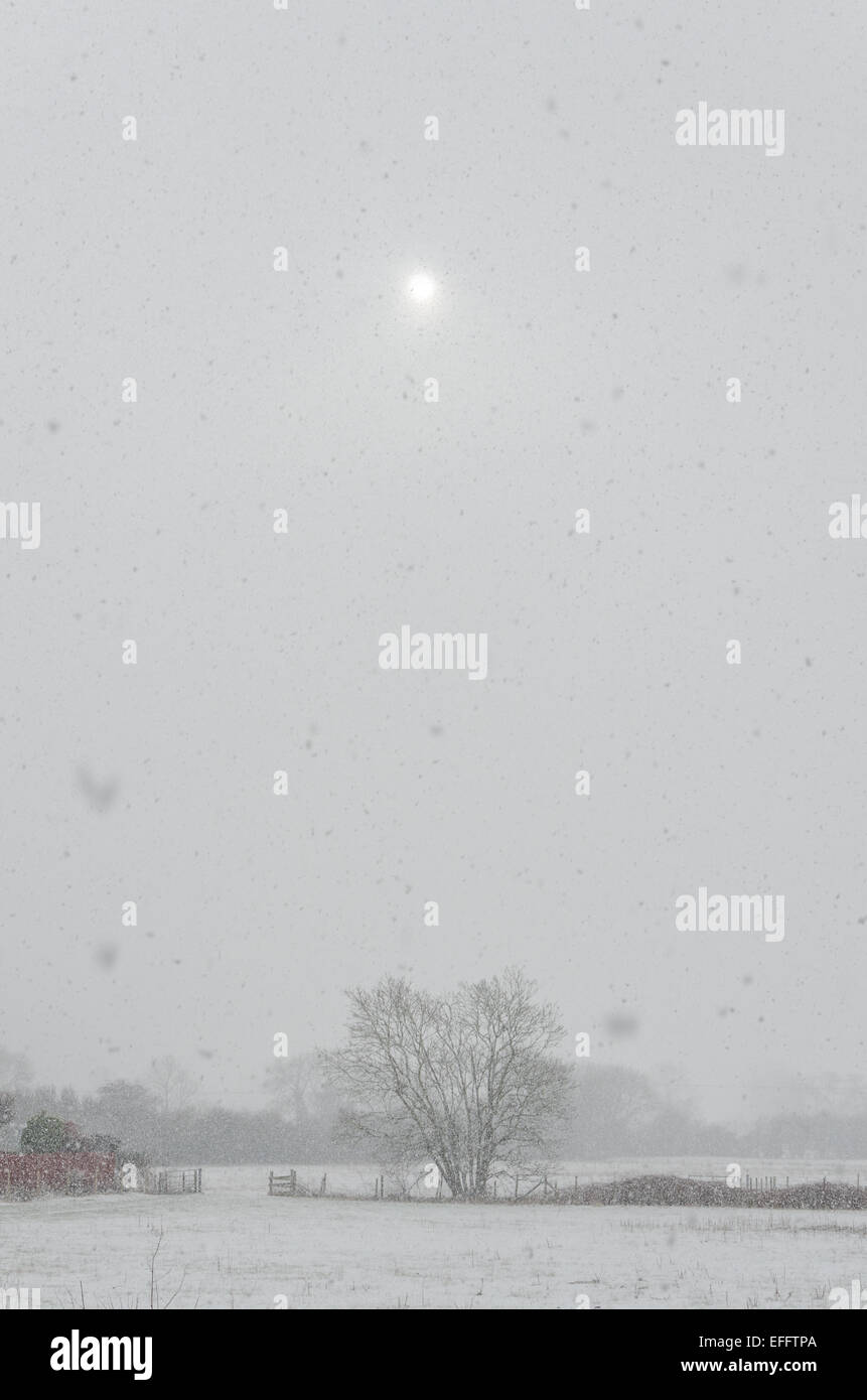 Foxton, España. 3e février 2015. Météo britannique. Fortes chutes de neige dans la région de South Cambridgeshire village. Banque D'Images