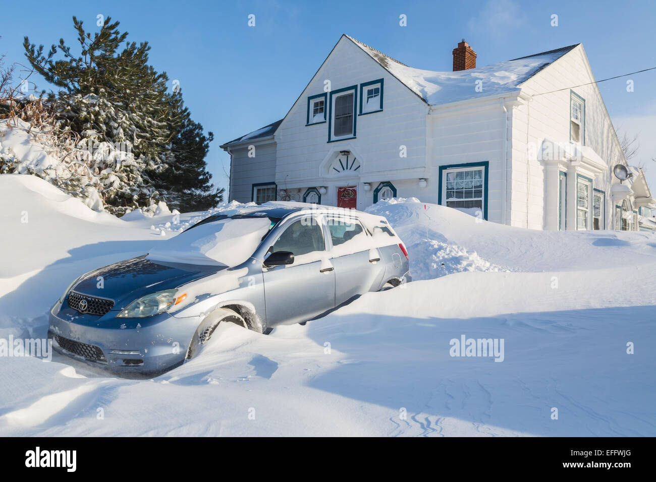 Prince Edward Island, Canada. 3, 2015. Météo Canada : Blizzard frappe la côte est du Canada et des États-Unis de fermer les écoles, les entreprises et bureaux et enterrer les logements et les véhicules sous la neige tomber. Le bureau de l'environnement avertit de plus blizzard et les conditions de neige dans les prévisions. Credit : Verena Matthieu/Alamy Live News Banque D'Images