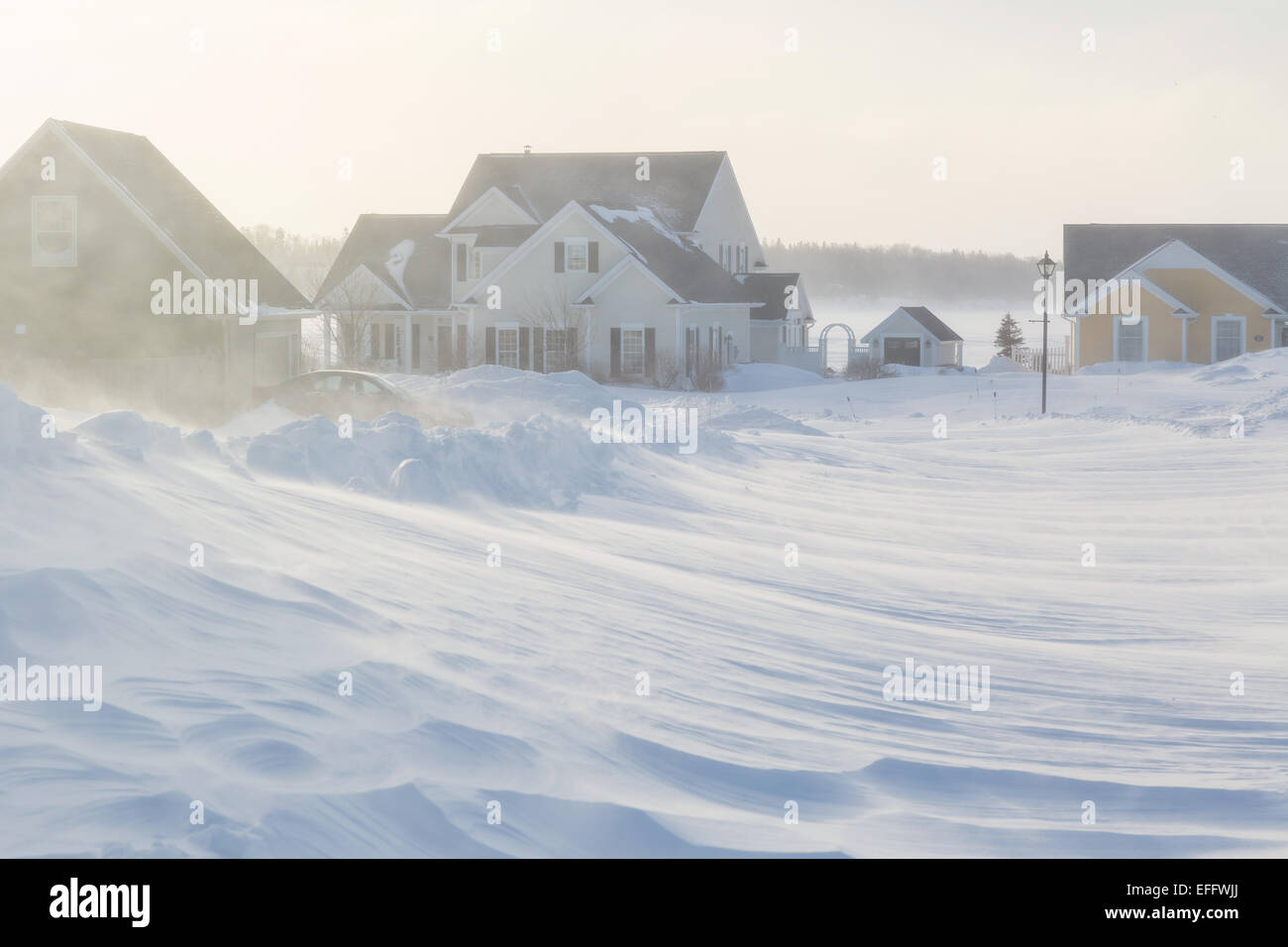 Prince Edward Island, Canada. 3, 2015. Météo Canada : Blizzard frappe la côte est du Canada et des États-Unis de fermer les écoles, les entreprises et bureaux et enterrer les logements et les véhicules sous la neige tomber. Le bureau de l'environnement avertit de plus blizzard et les conditions de neige dans les prévisions. Credit : Verena Matthieu/Alamy Live News Banque D'Images