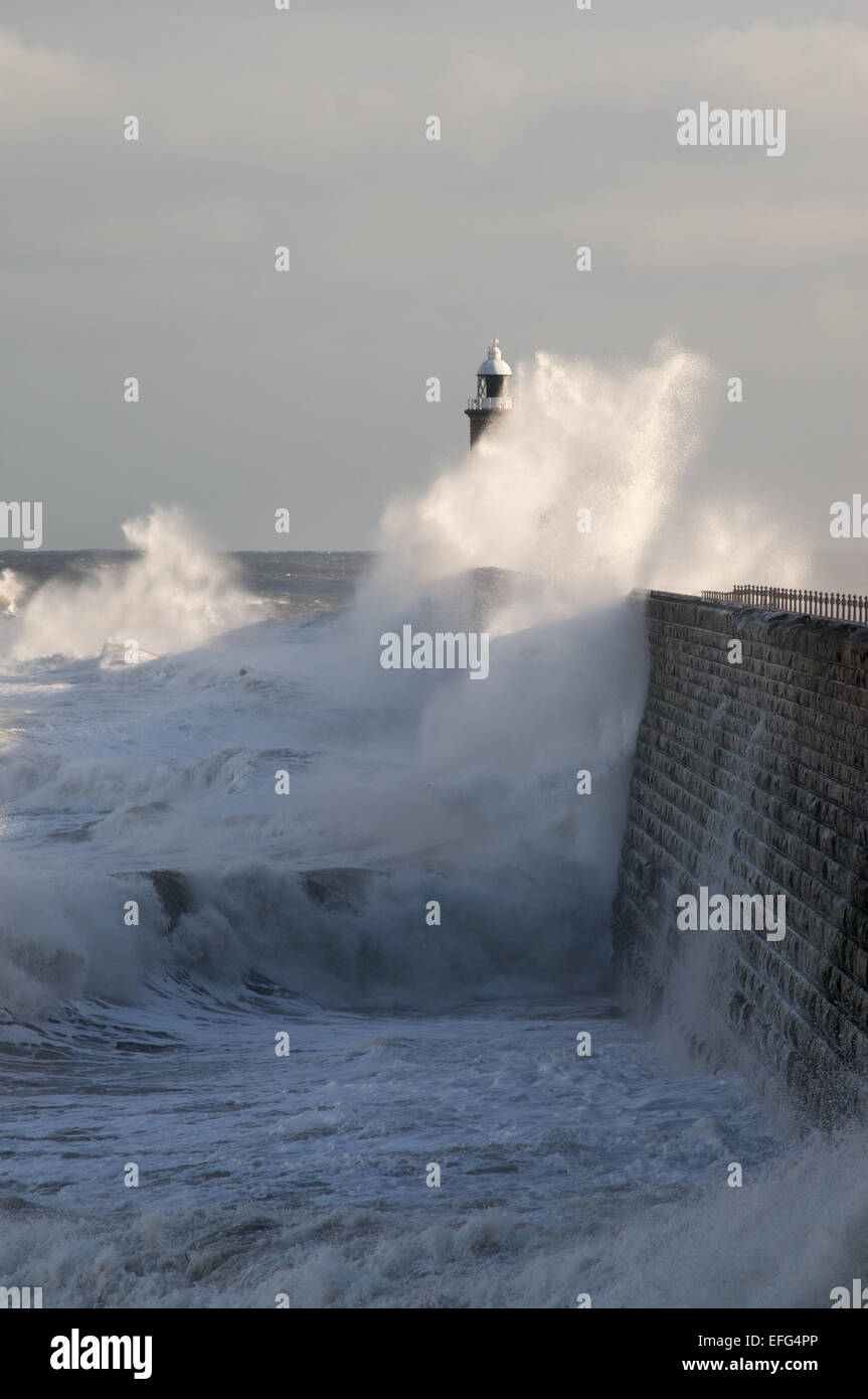 Les vents du nord forte envoyer vagues se briser sur la jetée de Tynemouth, élevé à l'entrée de la rivière Tyne, Angleterre du Nord-Est UK Banque D'Images