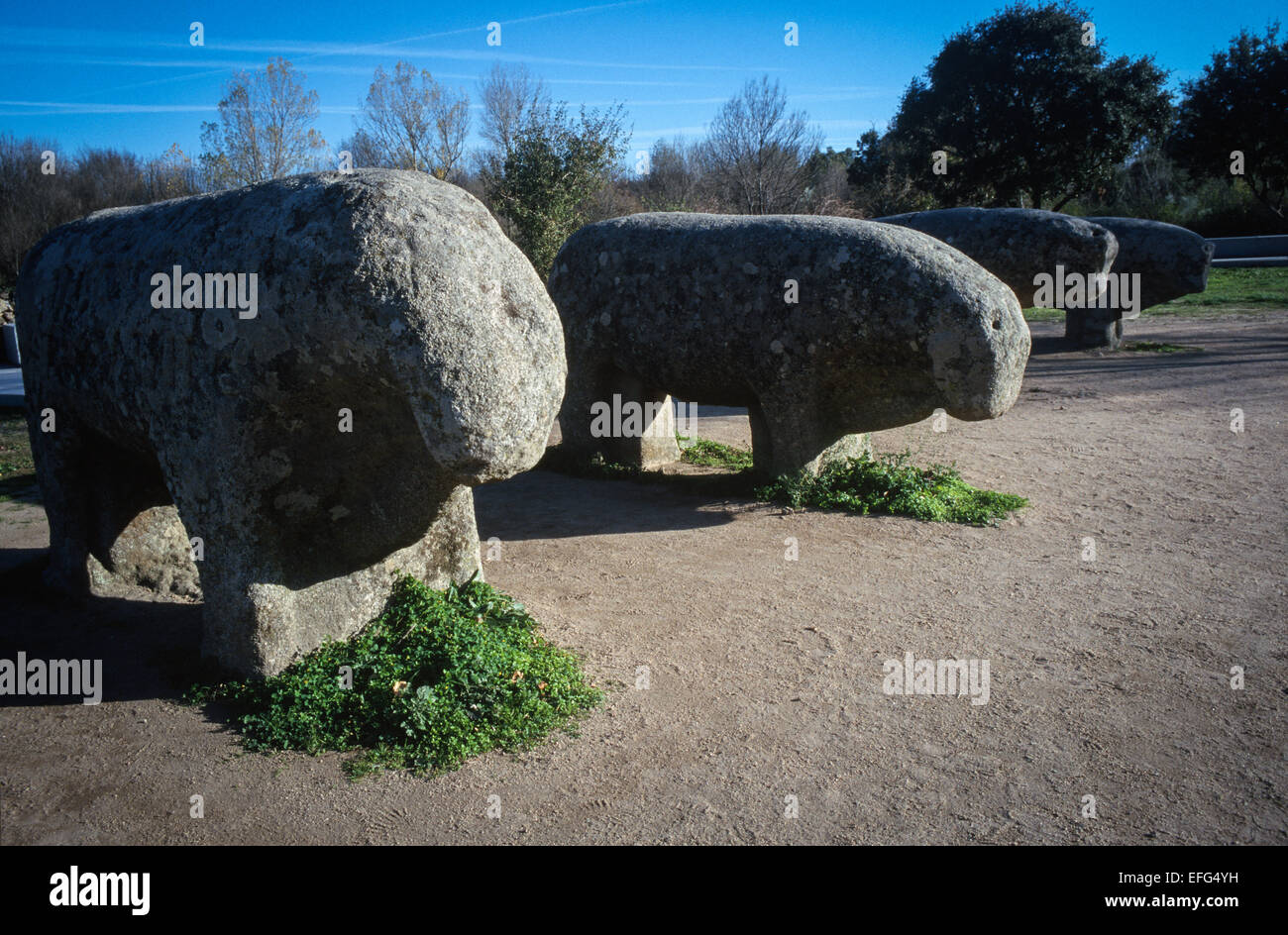 Toros de Guisando (Guisando taureaux). L'art celtique, 3e siècle avant J.-C. Avila province. Espagne Banque D'Images