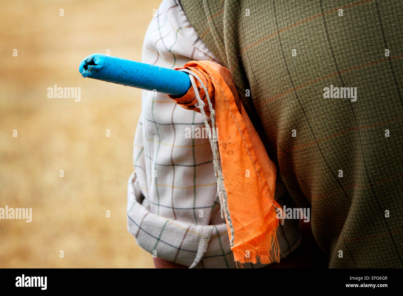 Jeu du hérisson mâle tir avec drapeau underarm, cropped portrait Banque D'Images