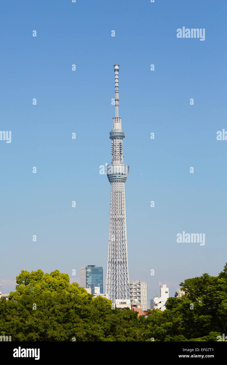 Tokyo Skytree, Sumida, Tokyo, Japon Banque D'Images