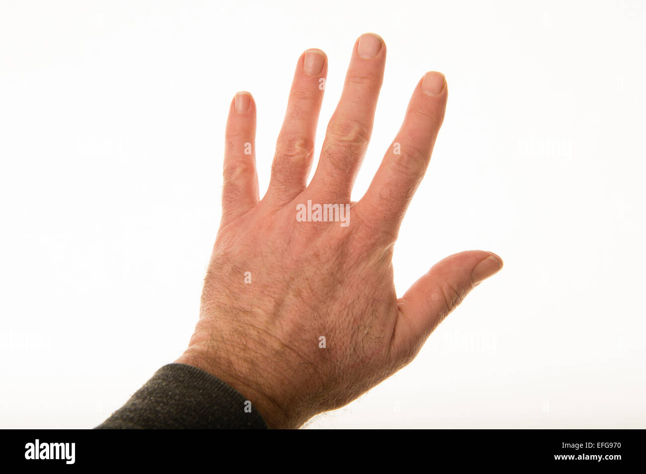 La main d'un homme contre un fond blanc, pur - Non, le rejet, l'arrêt, l'interdiction, restriction, Banque D'Images