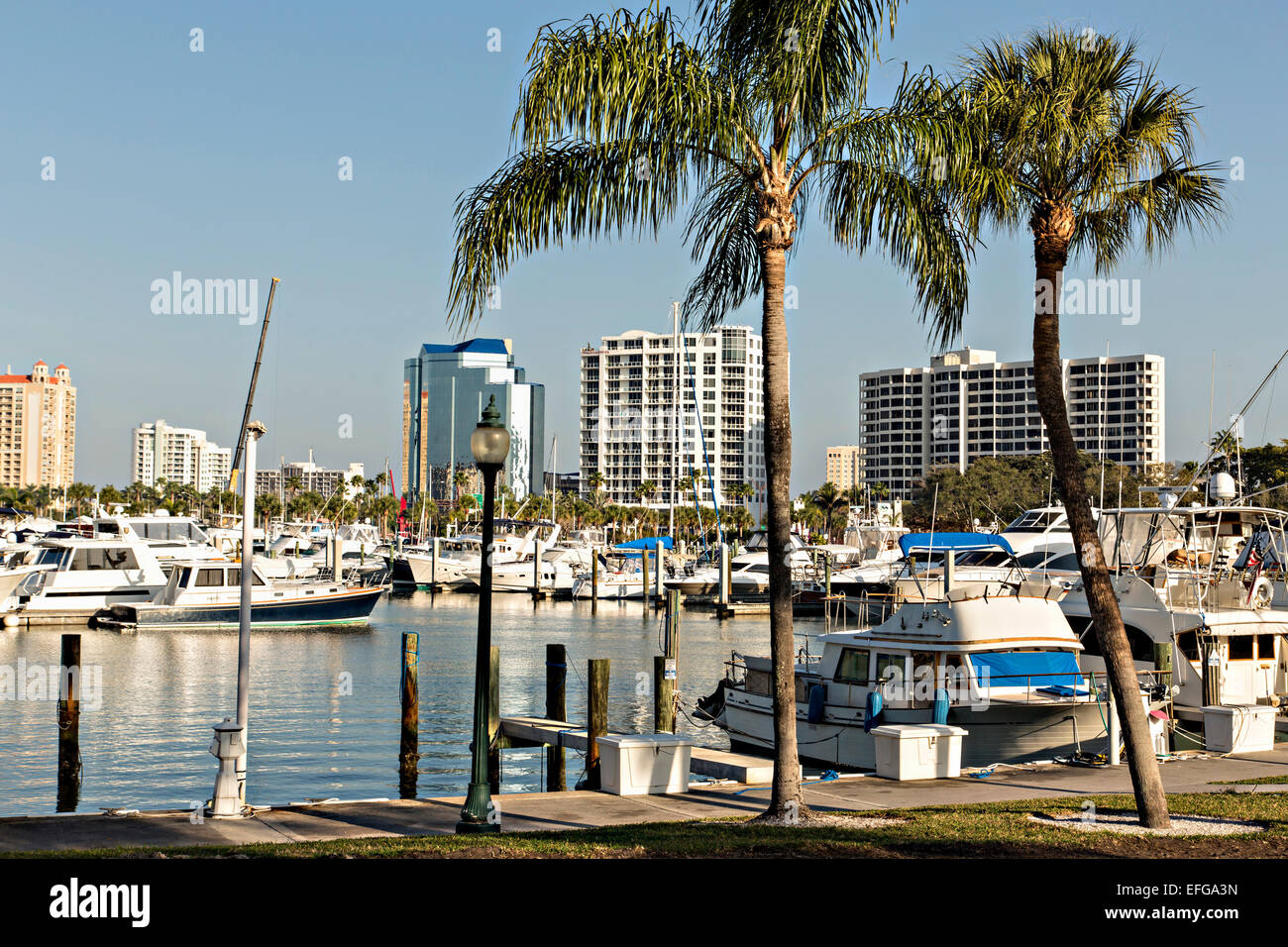 Vue sur le centre-ville de Sarasota en Floride et Bayfront Park Marina. Banque D'Images