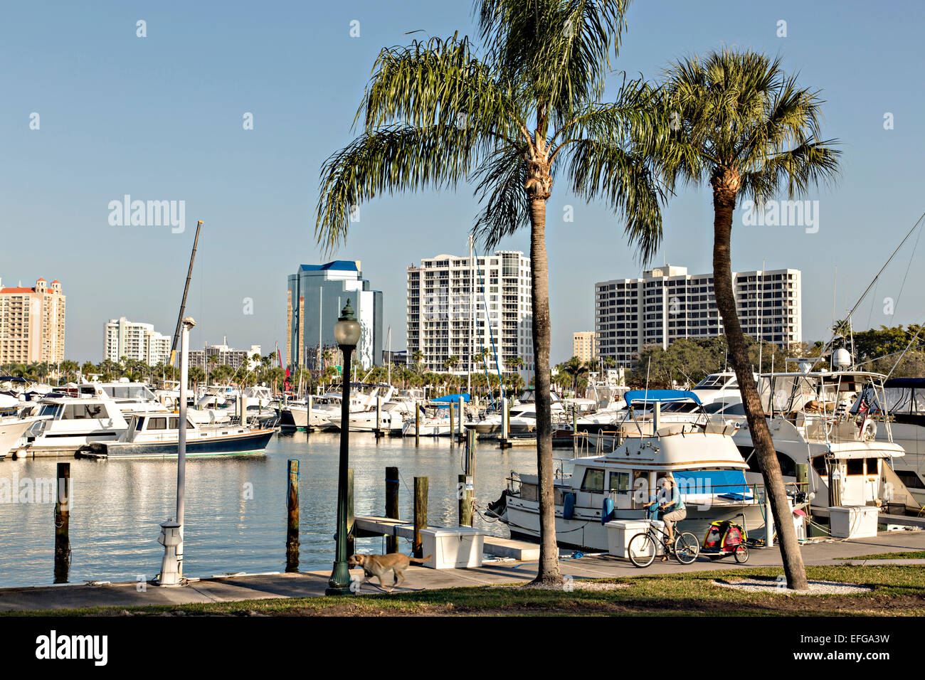 Vue sur le centre-ville de Sarasota en Floride et Bayfront Park Marina. Banque D'Images