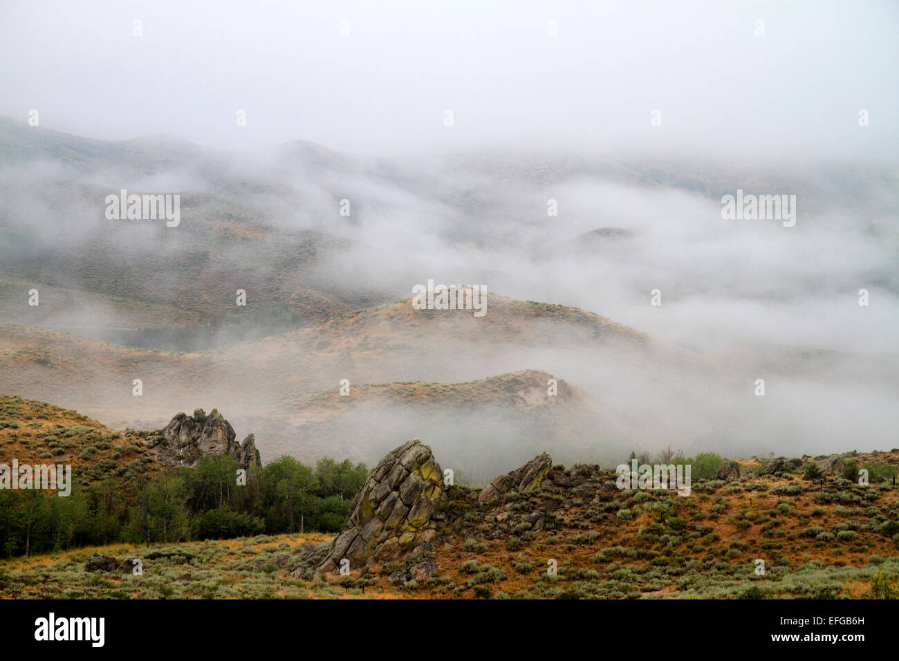 La couverture de brouillard les montagnes le long de la route US 20 dans la région de Elmore Comté, California, USA. Banque D'Images