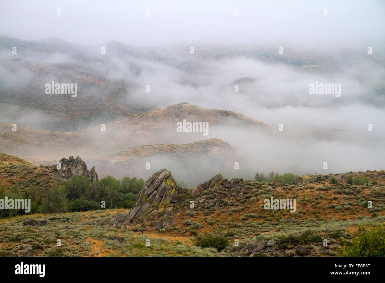 La couverture de brouillard les montagnes le long de la route US 20 dans la région de Elmore Comté, California, USA. Banque D'Images