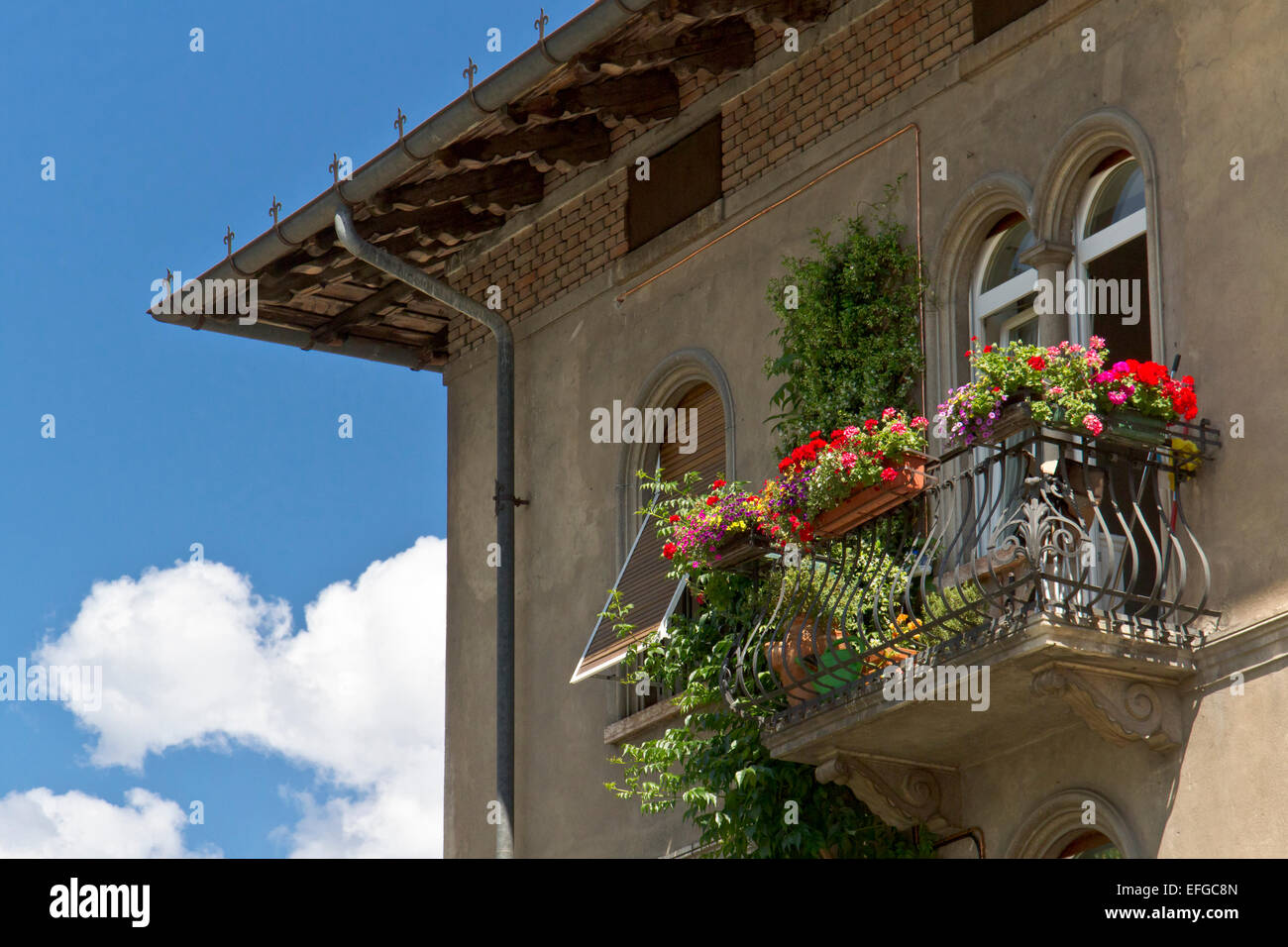 Fleurs de Printemps sur balcon à l'étage, Trento, Italie Banque D'Images