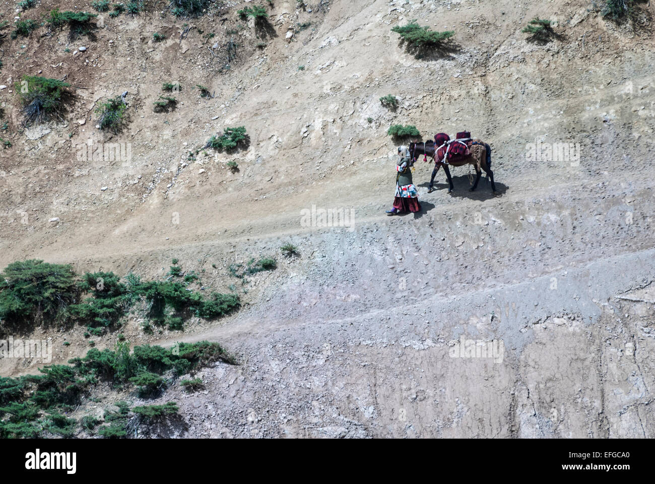 Zard Kuh et Chaharmahal,Province Bakhtiari, Iran Banque D'Images