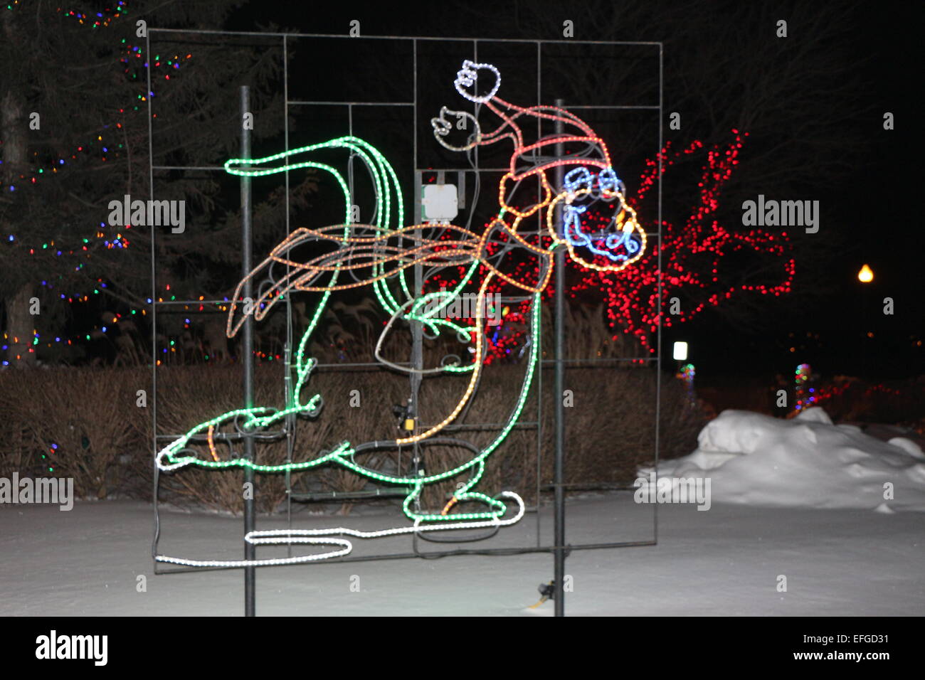 Les lumières de Noël,affichage,bonhomme de feux d'hiver patinage,en chien,feux de ciel de nuit avec des lumières, Barrie, Ontario , Canada Banque D'Images