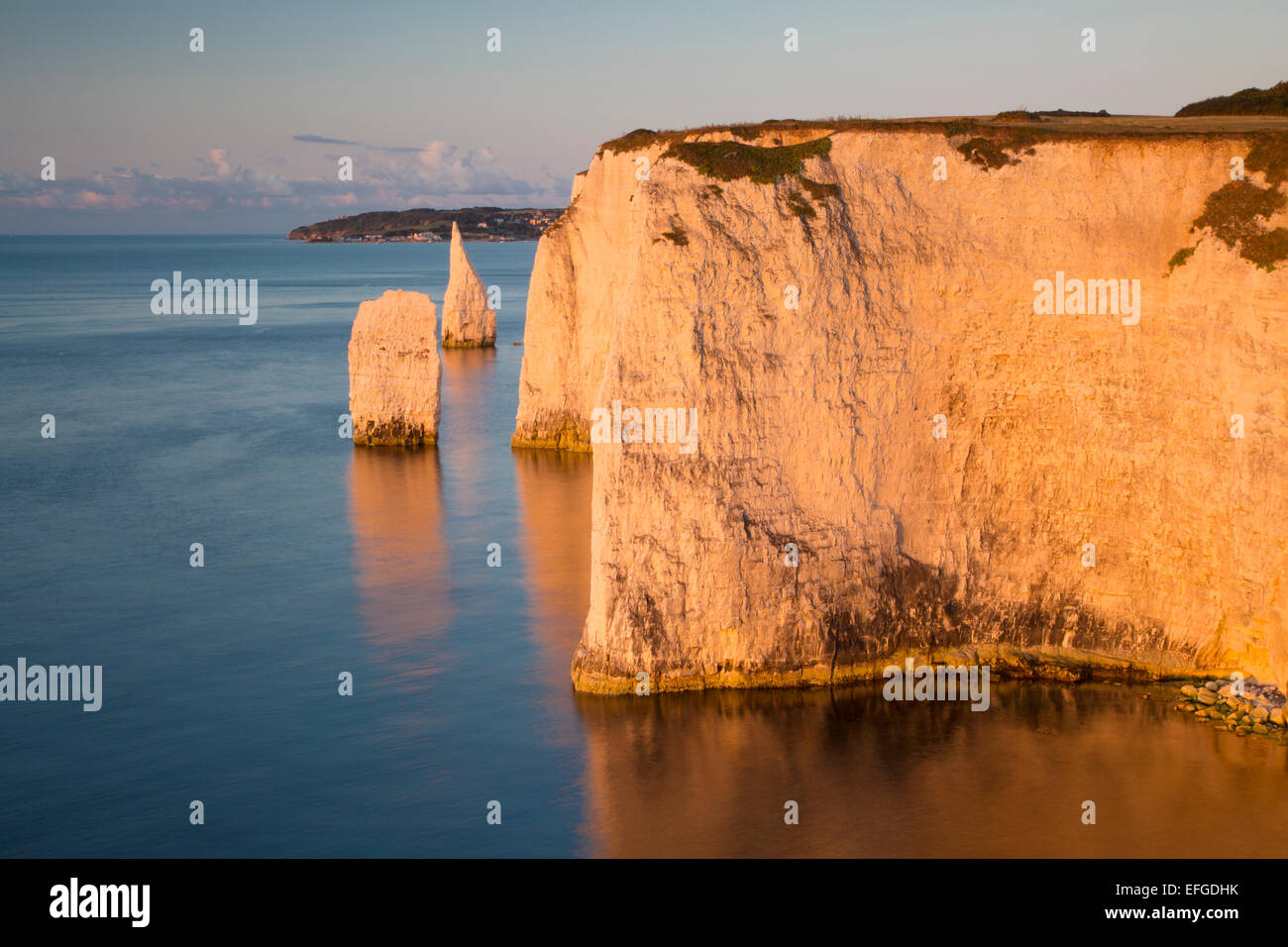 À l'aube les falaises blanches et harry des pierres sur studland, à l'île de purbeck, Jurassic Coast, Dorset, Angleterre Banque D'Images