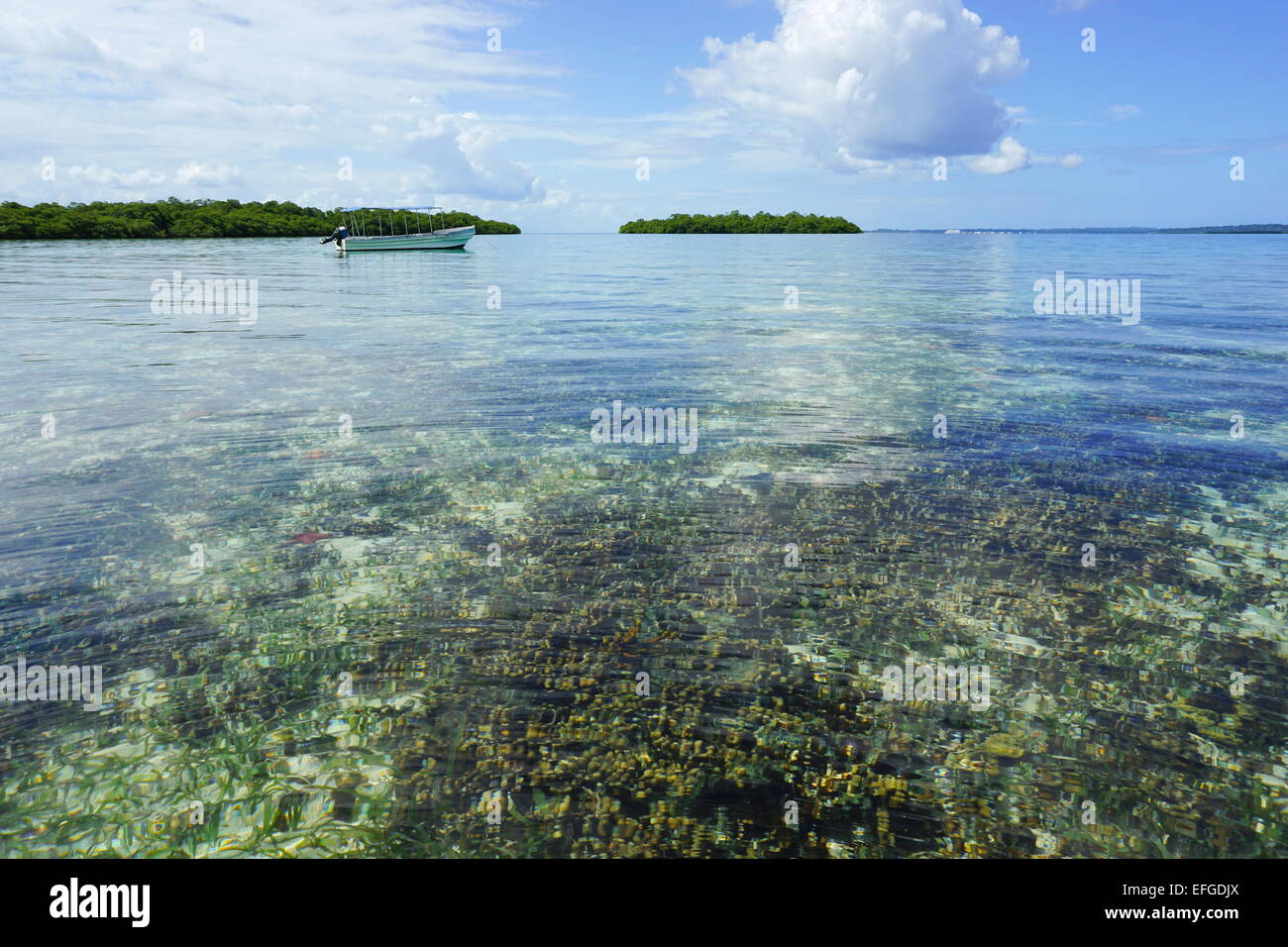 Calme et clair avec de l'eau ci-dessous des récifs coralliens et de la surface de la mer un bateau avec les îles de mangrove en arrière-plan, des Caraïbes, Panama Banque D'Images